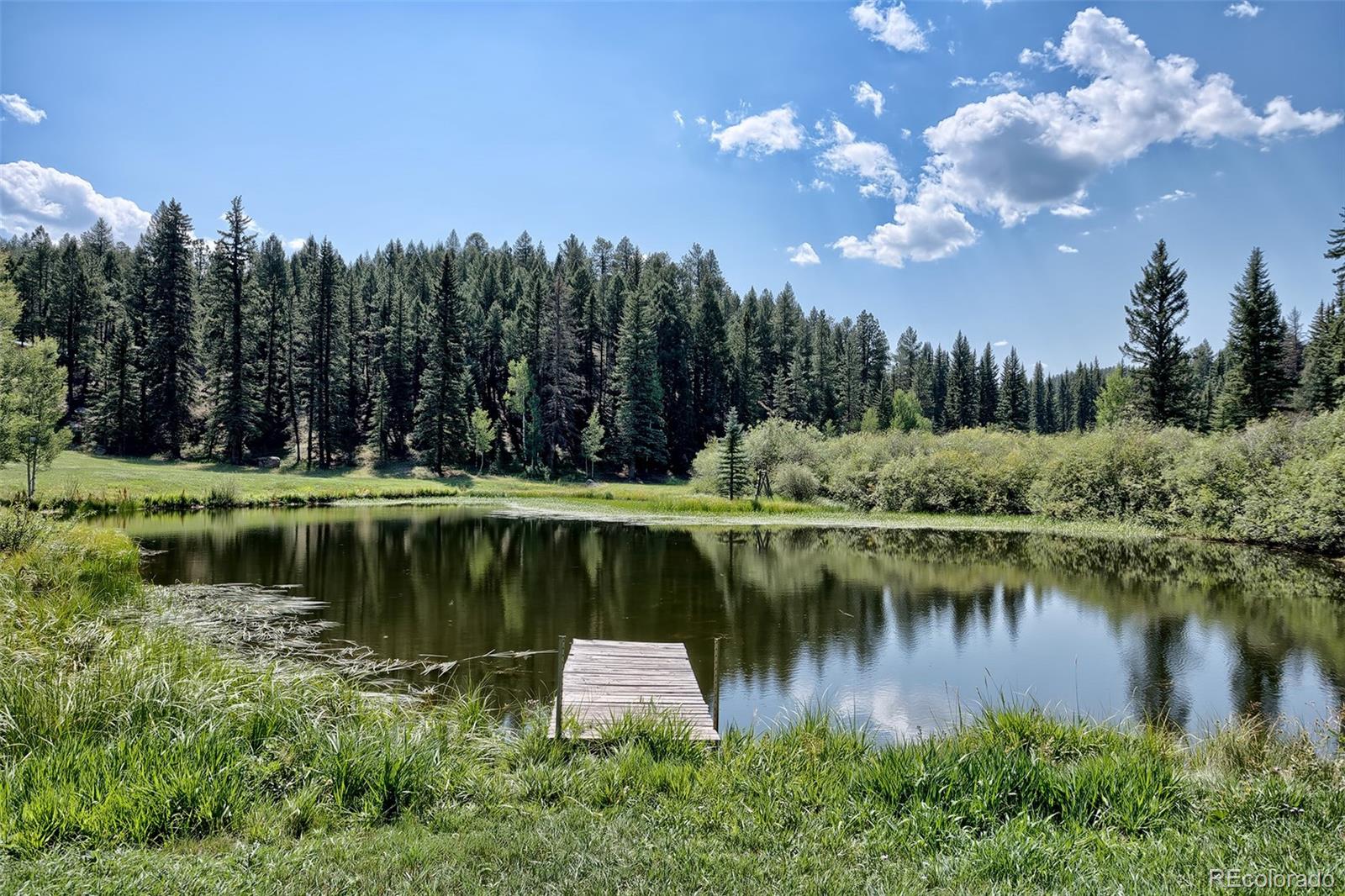 MLS Image #49 for 2732  county road 782 ,woodland park, Colorado