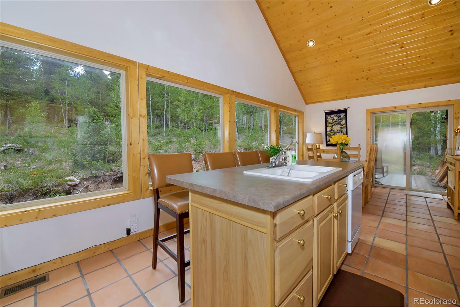 MLS Image #16 for 290  eagle rock road,florissant, Colorado