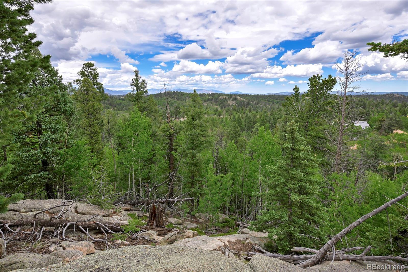 MLS Image #2 for 290  eagle rock road,florissant, Colorado