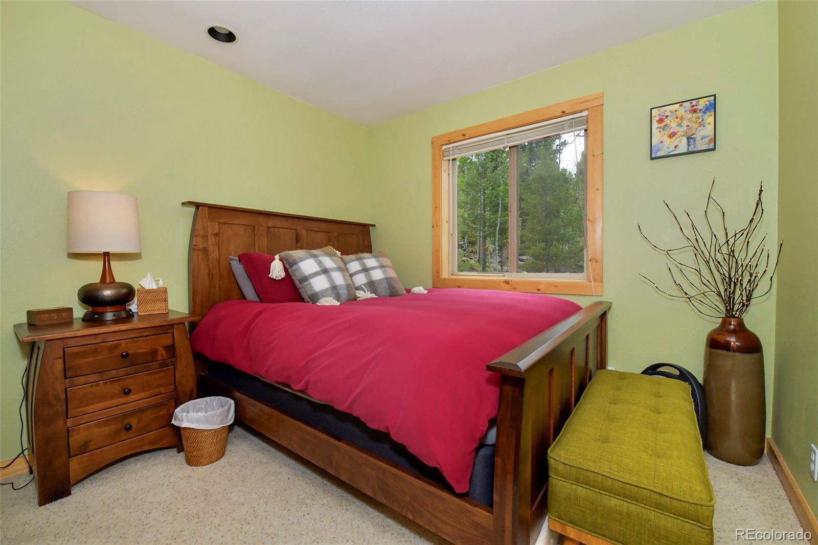 MLS Image #20 for 290  eagle rock road,florissant, Colorado