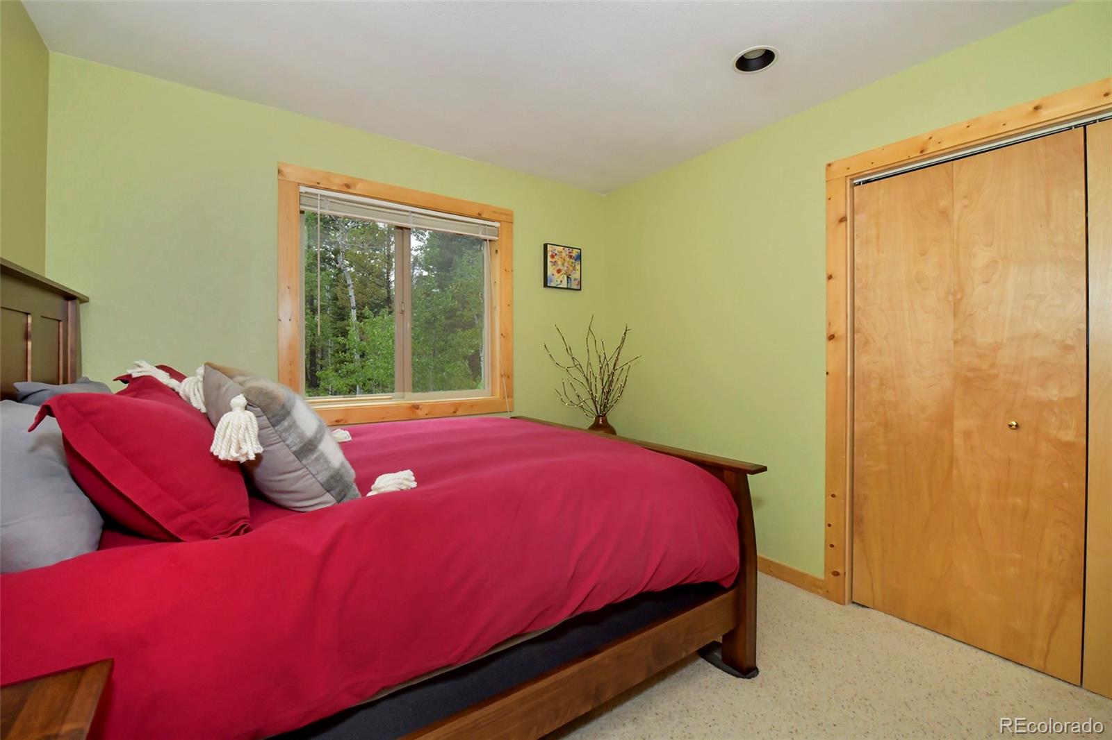 MLS Image #21 for 290  eagle rock road,florissant, Colorado