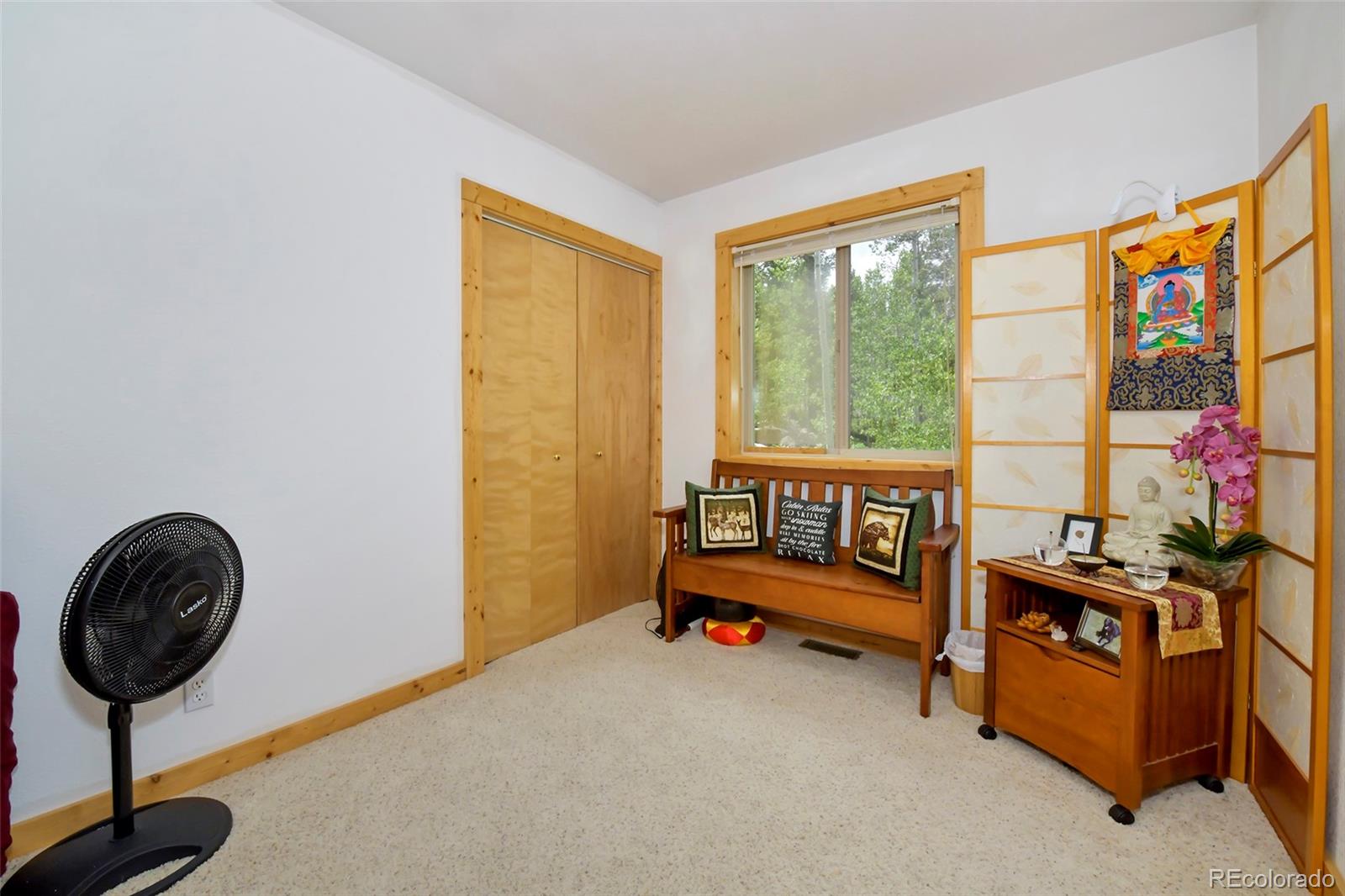 MLS Image #24 for 290  eagle rock road,florissant, Colorado