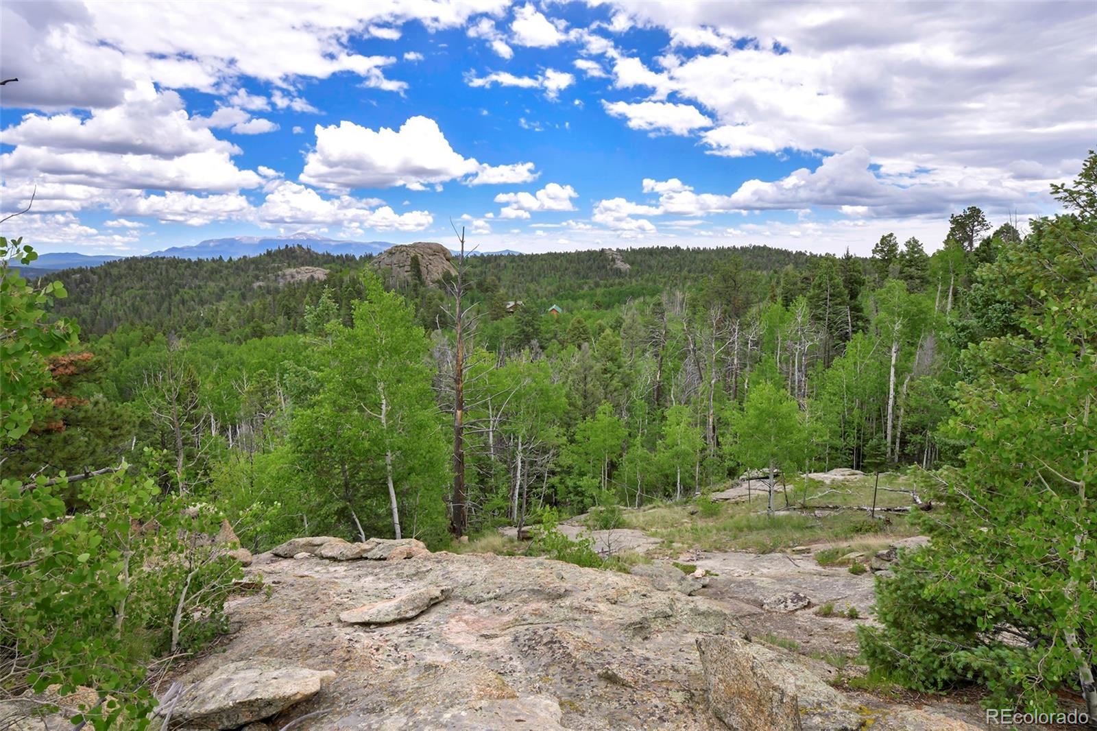 MLS Image #32 for 290  eagle rock road,florissant, Colorado