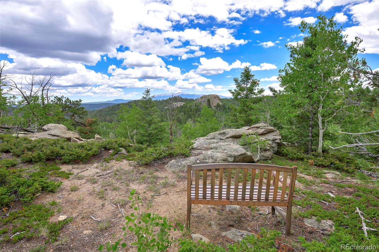 MLS Image #33 for 290  eagle rock road,florissant, Colorado