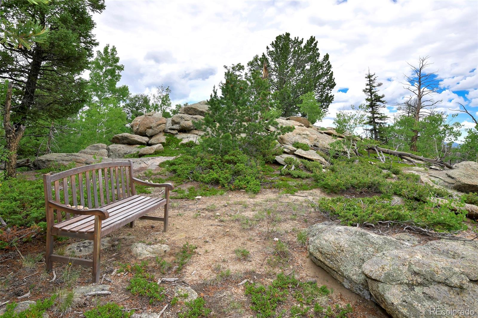 MLS Image #34 for 290  eagle rock road,florissant, Colorado