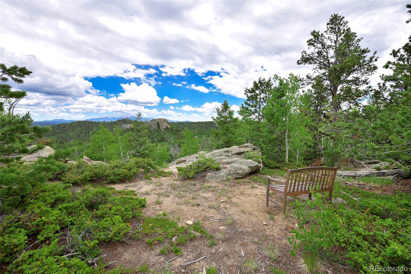 MLS Image #35 for 290  eagle rock road,florissant, Colorado