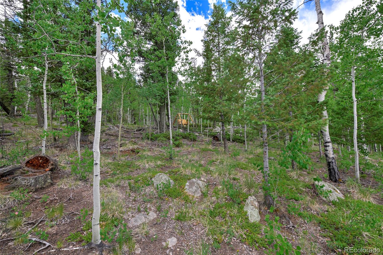 MLS Image #36 for 290  eagle rock road,florissant, Colorado