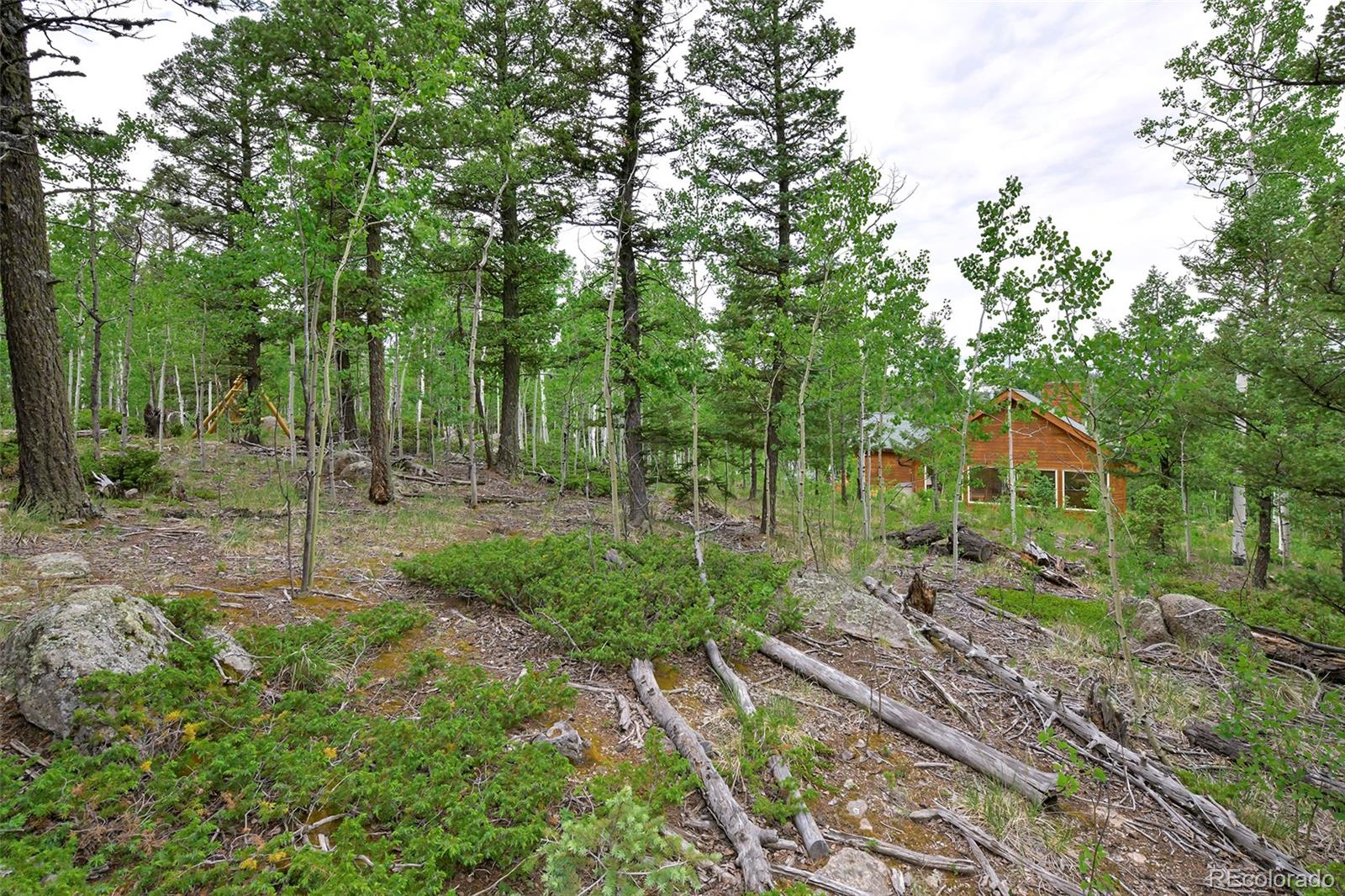 MLS Image #37 for 290  eagle rock road,florissant, Colorado