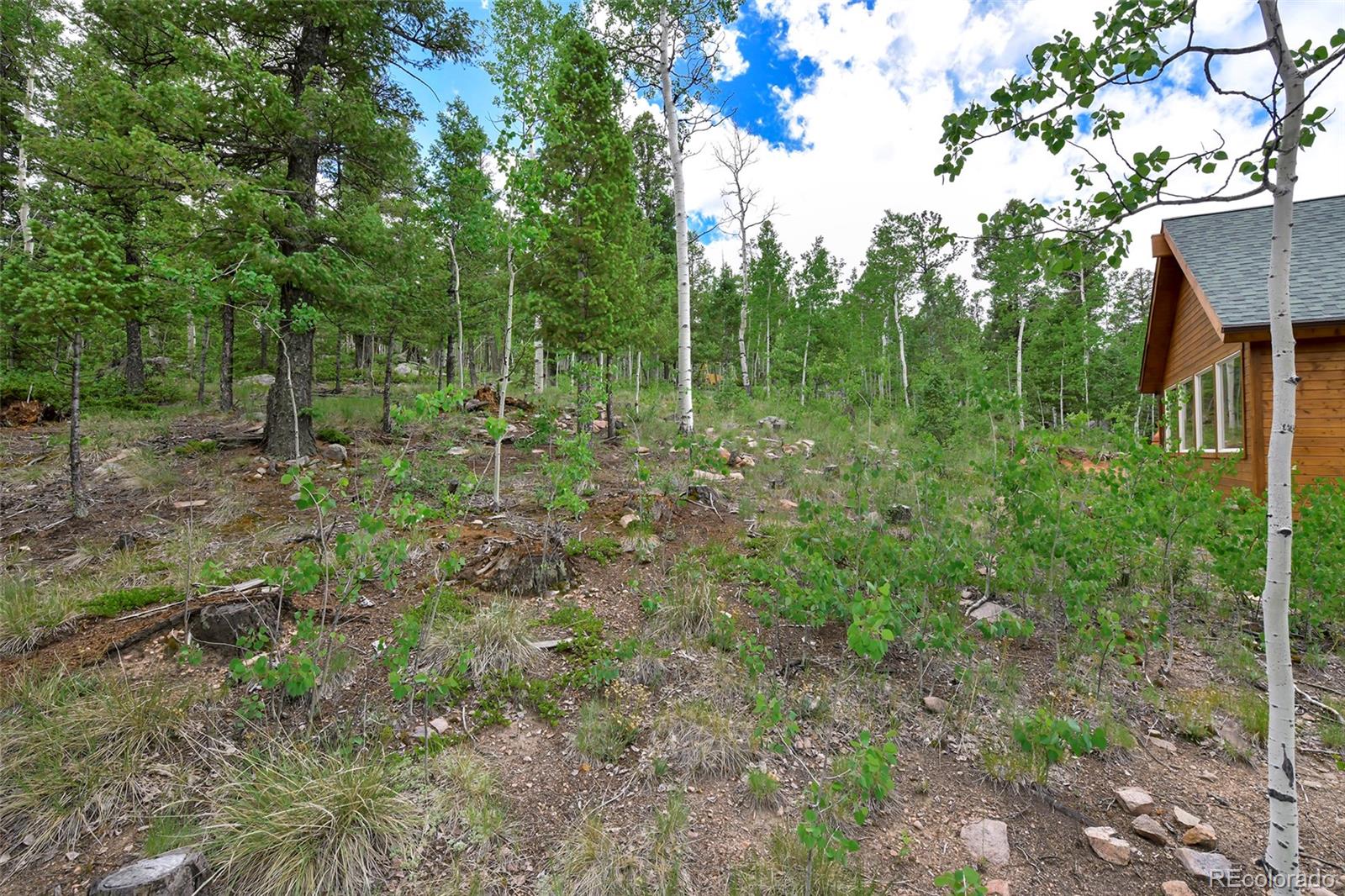 MLS Image #38 for 290  eagle rock road,florissant, Colorado