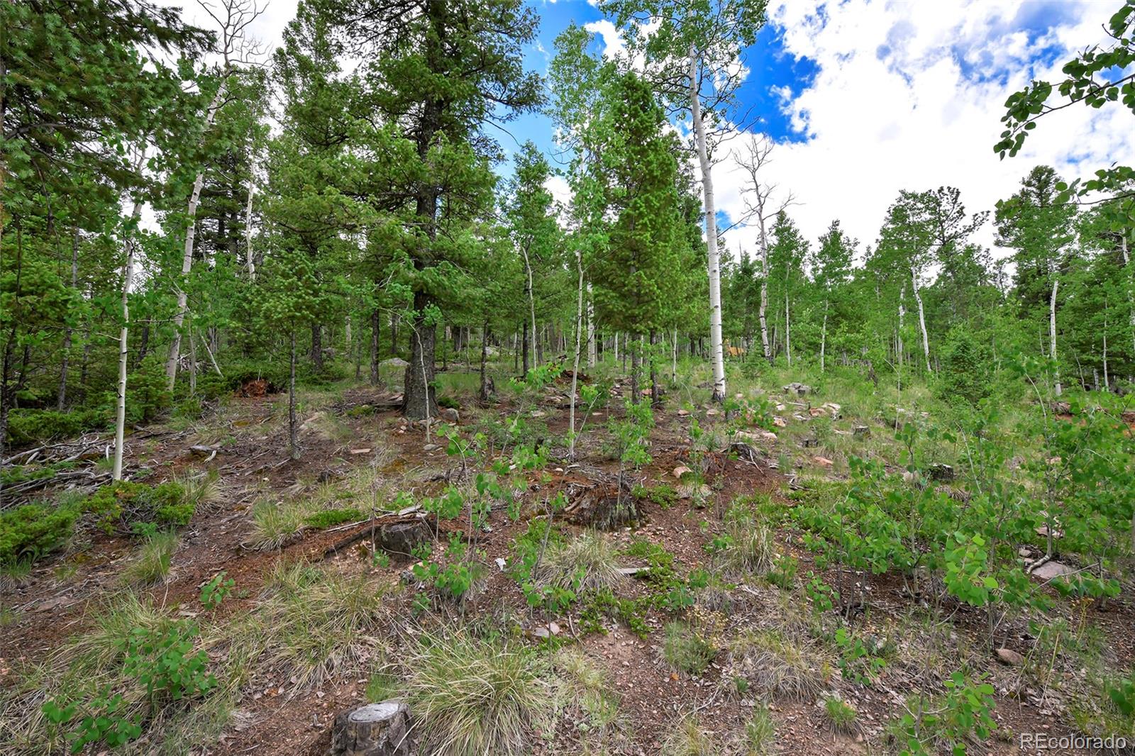 MLS Image #39 for 290  eagle rock road,florissant, Colorado