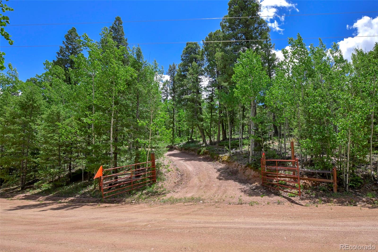 MLS Image #41 for 290  eagle rock road,florissant, Colorado