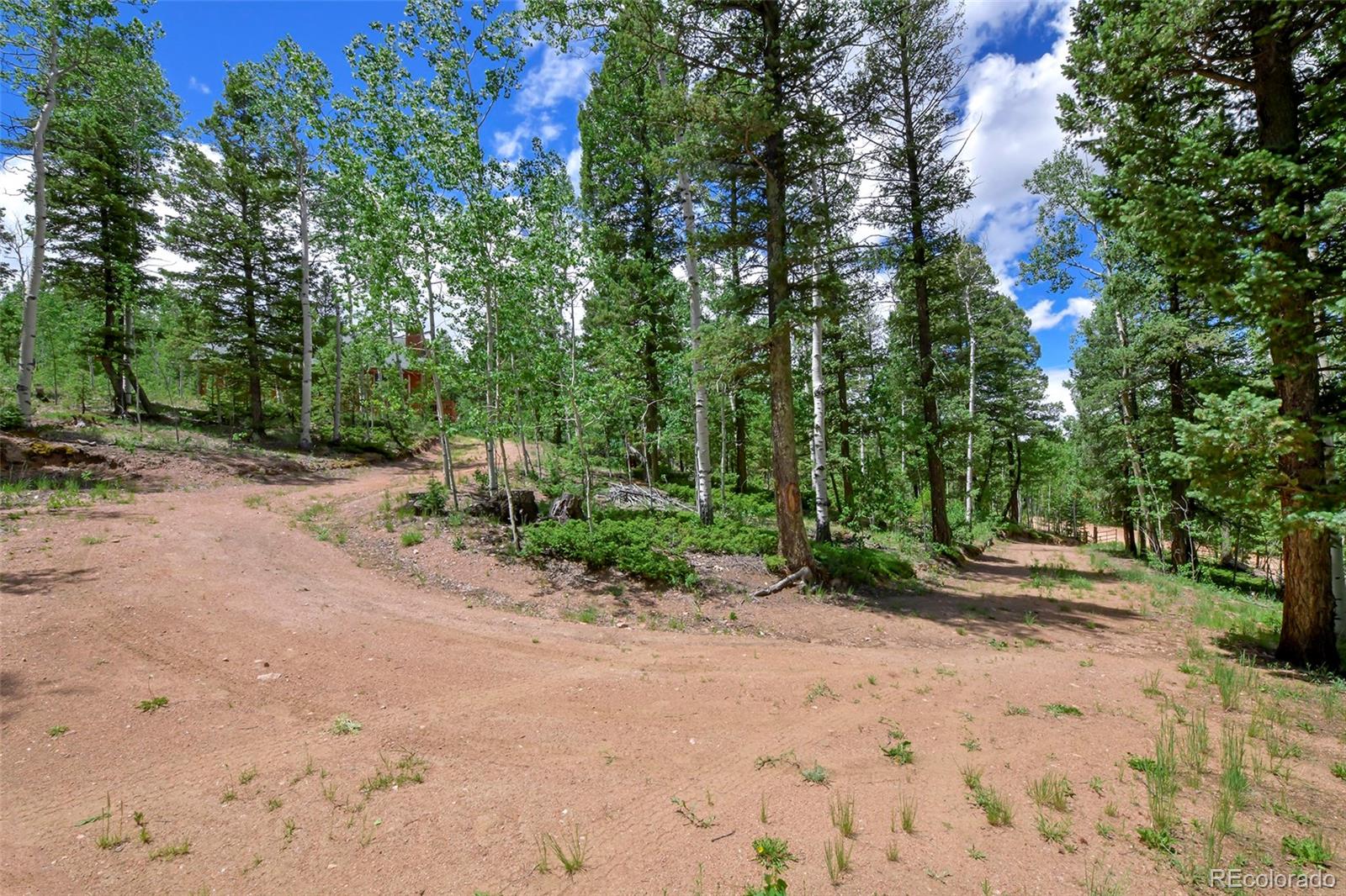 MLS Image #42 for 290  eagle rock road,florissant, Colorado