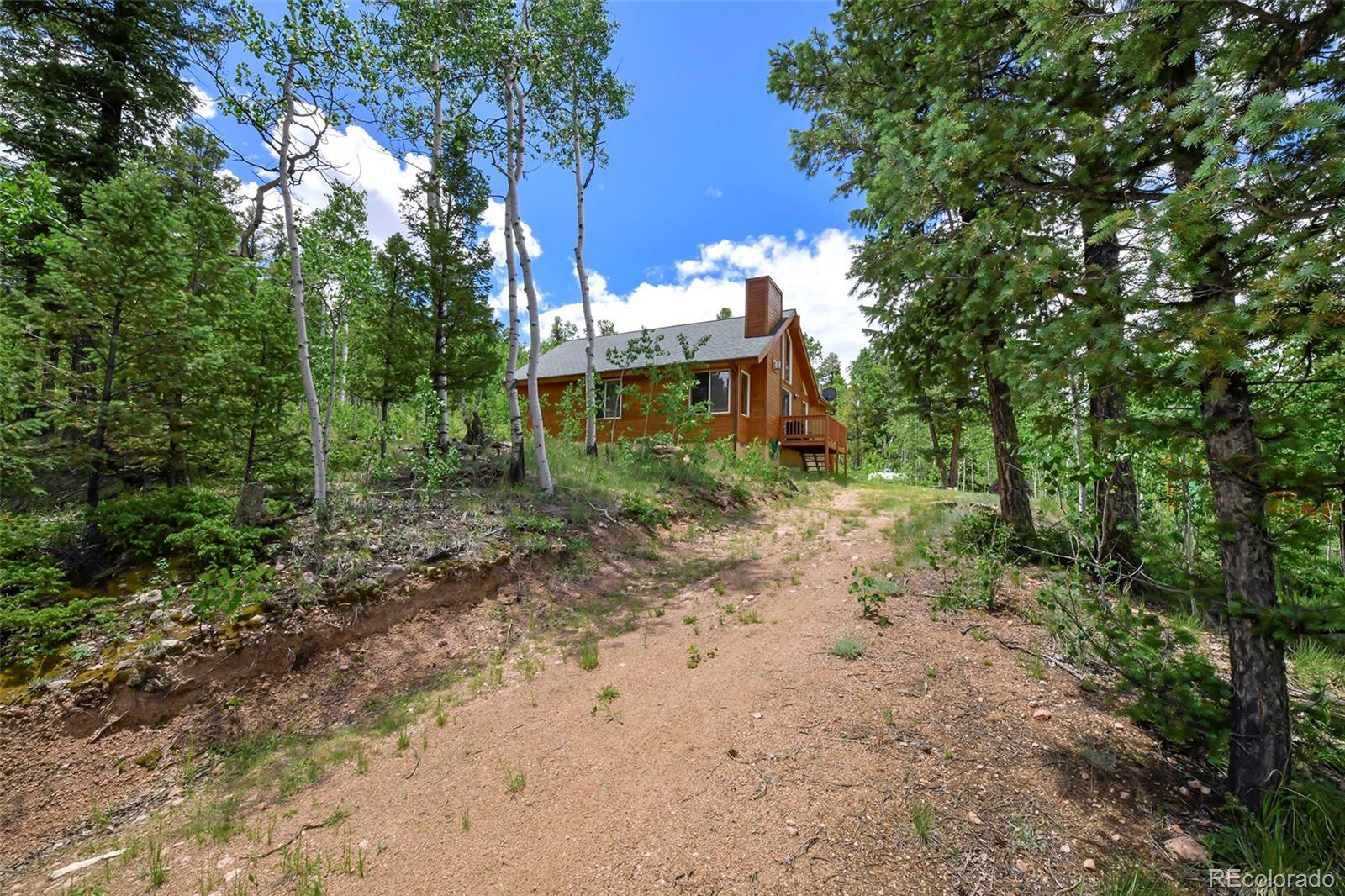 MLS Image #43 for 290  eagle rock road,florissant, Colorado