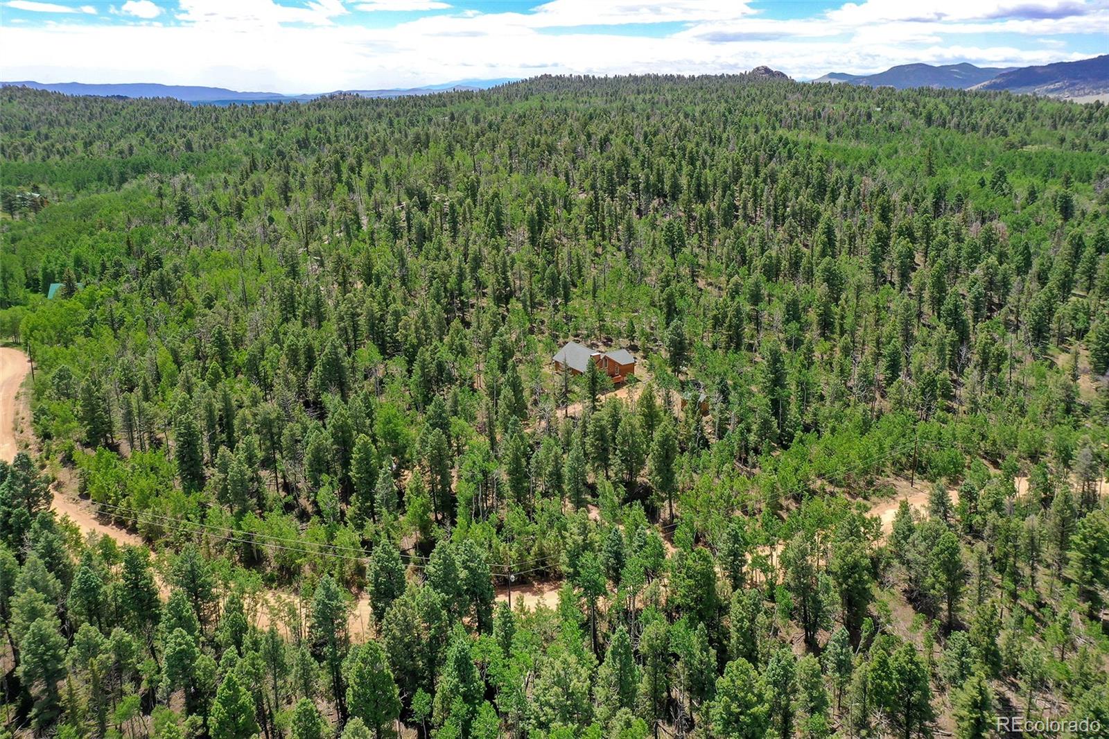 MLS Image #48 for 290  eagle rock road,florissant, Colorado