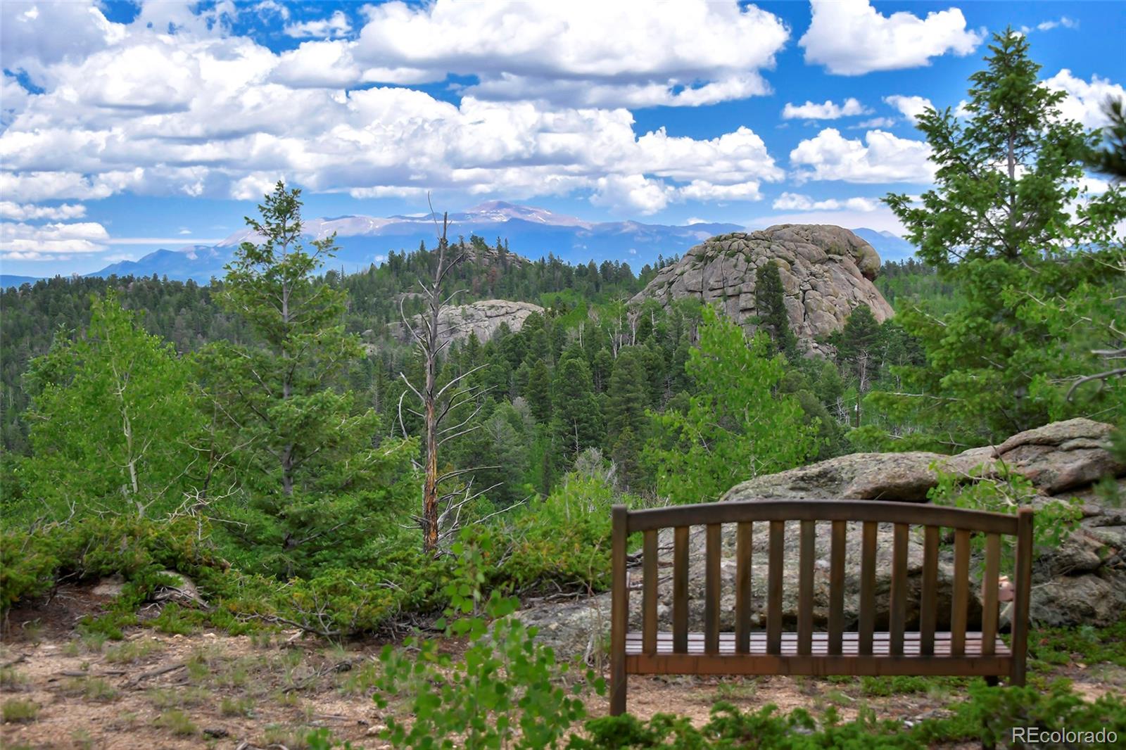 MLS Image #5 for 290  eagle rock road,florissant, Colorado