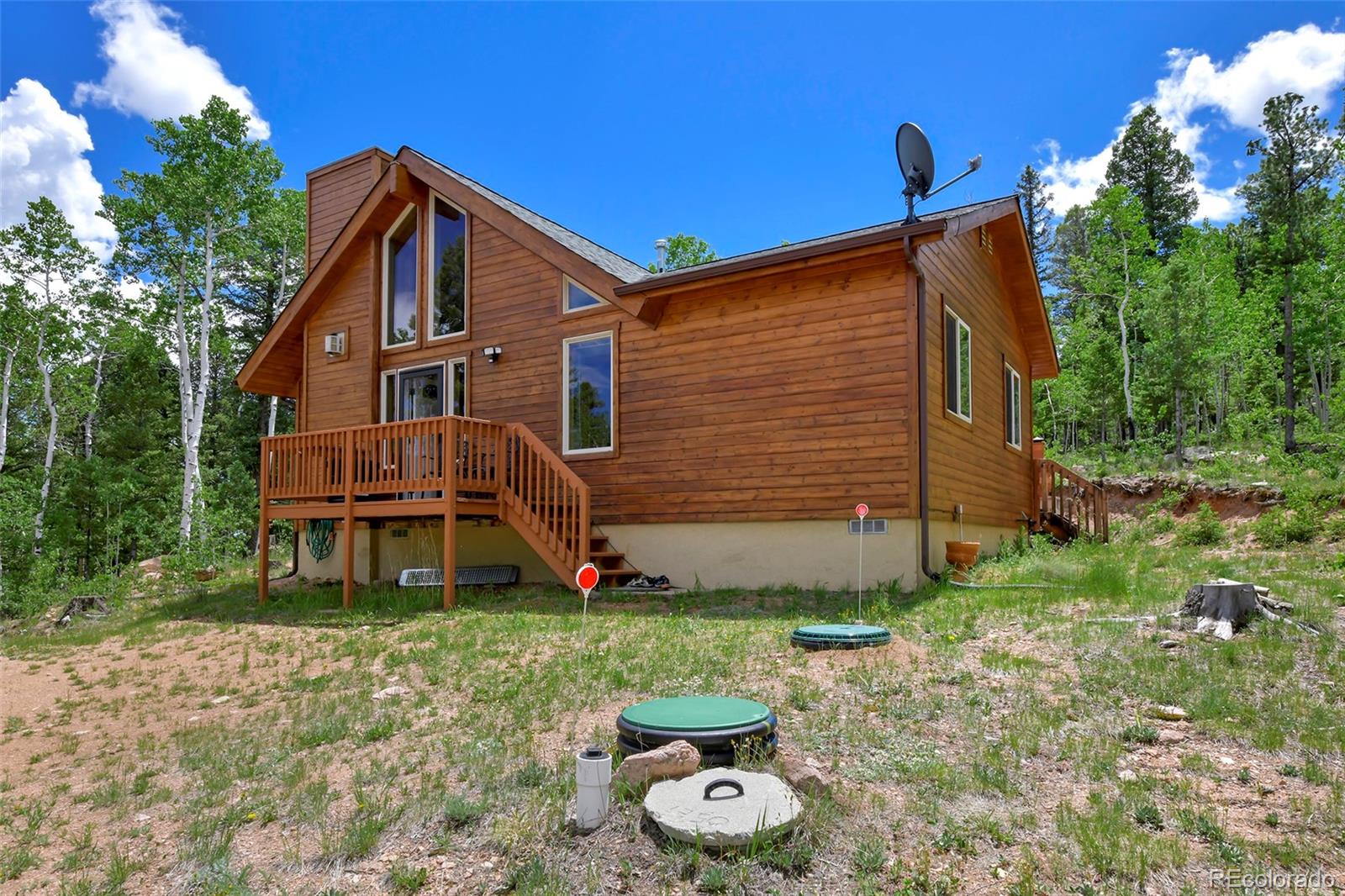 MLS Image #6 for 290  eagle rock road,florissant, Colorado