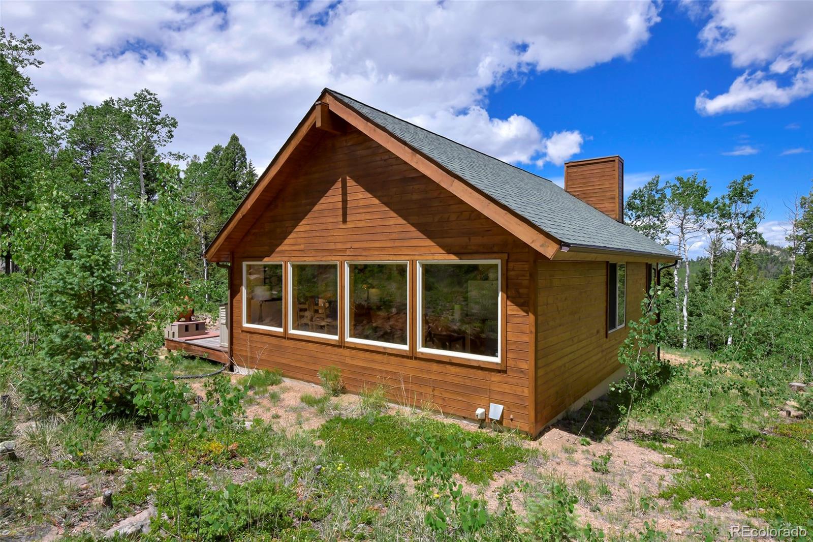 MLS Image #7 for 290  eagle rock road,florissant, Colorado