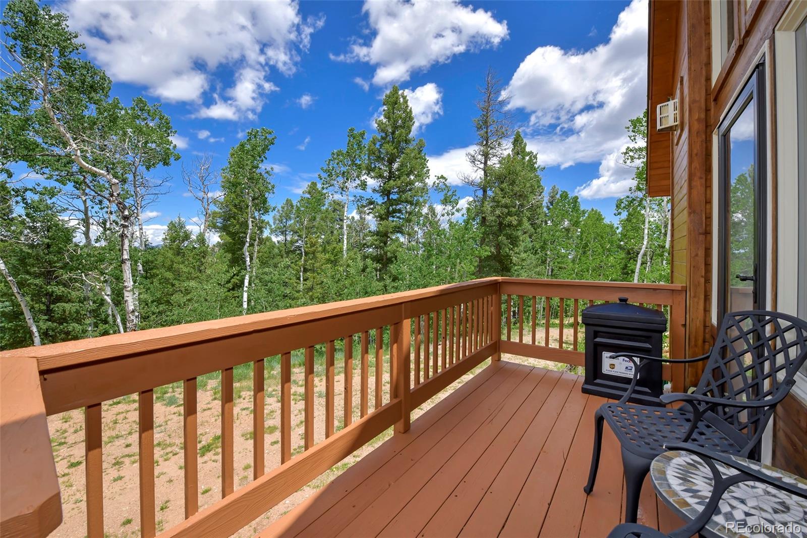 MLS Image #8 for 290  eagle rock road,florissant, Colorado