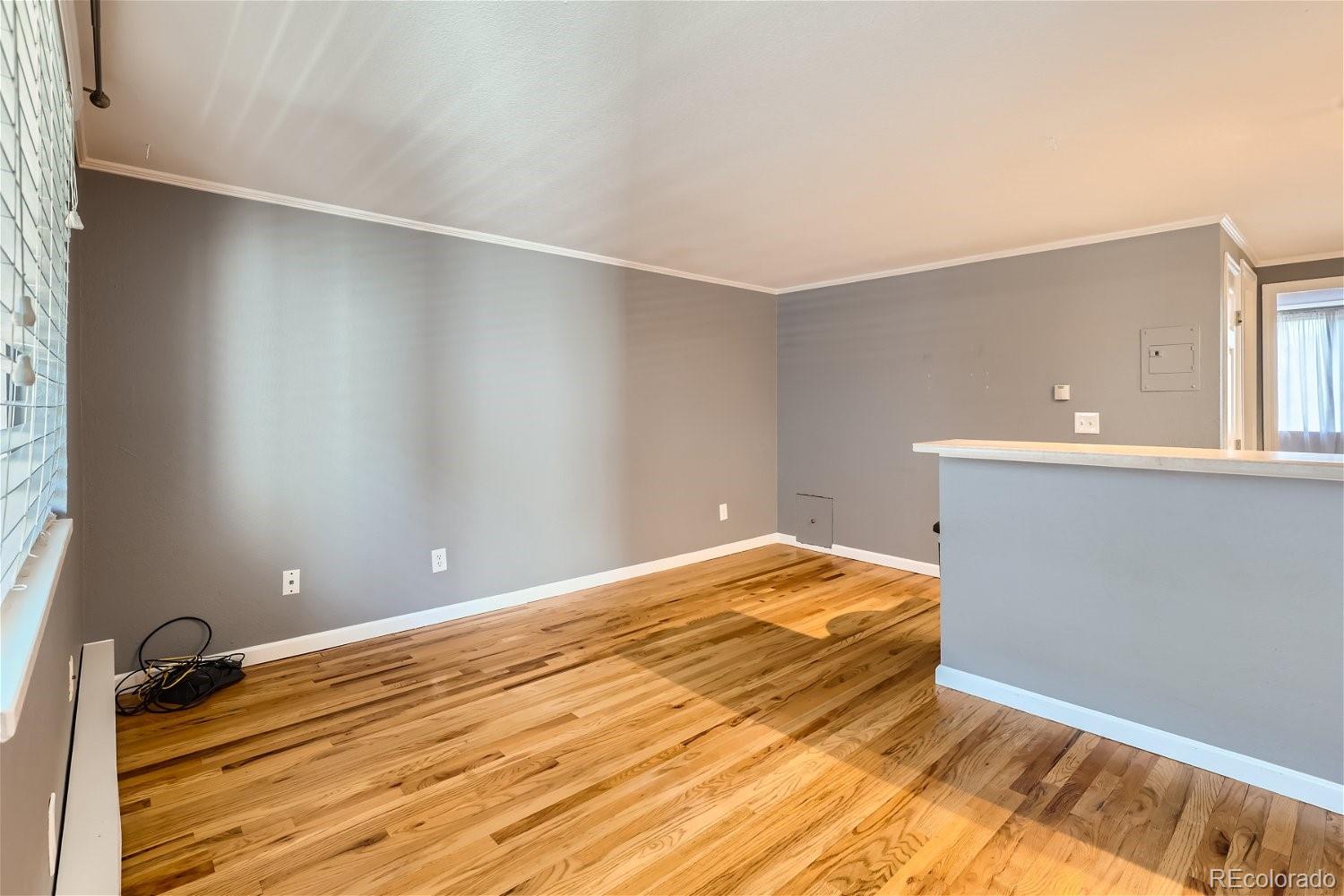 MLS Image #2 for 336 n grant street,denver, Colorado