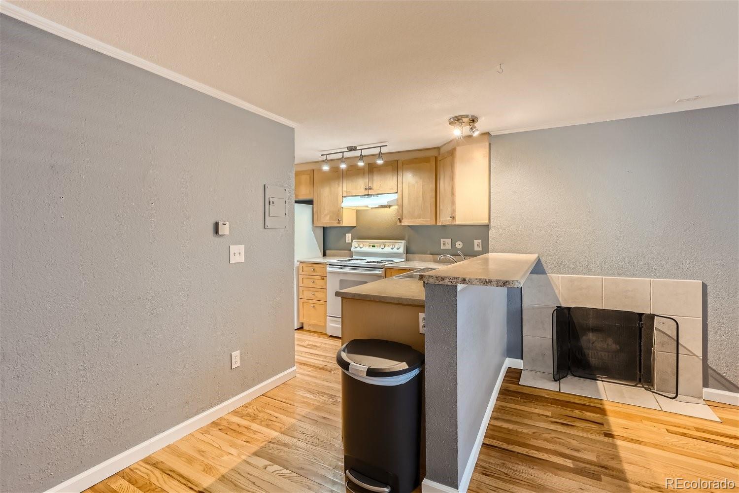 MLS Image #5 for 336 n grant street,denver, Colorado