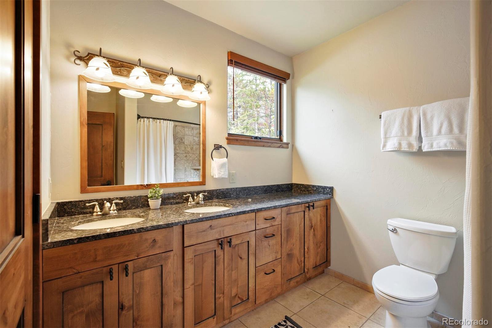 MLS Image #10 for 355  lodgepole circle,silverthorne, Colorado