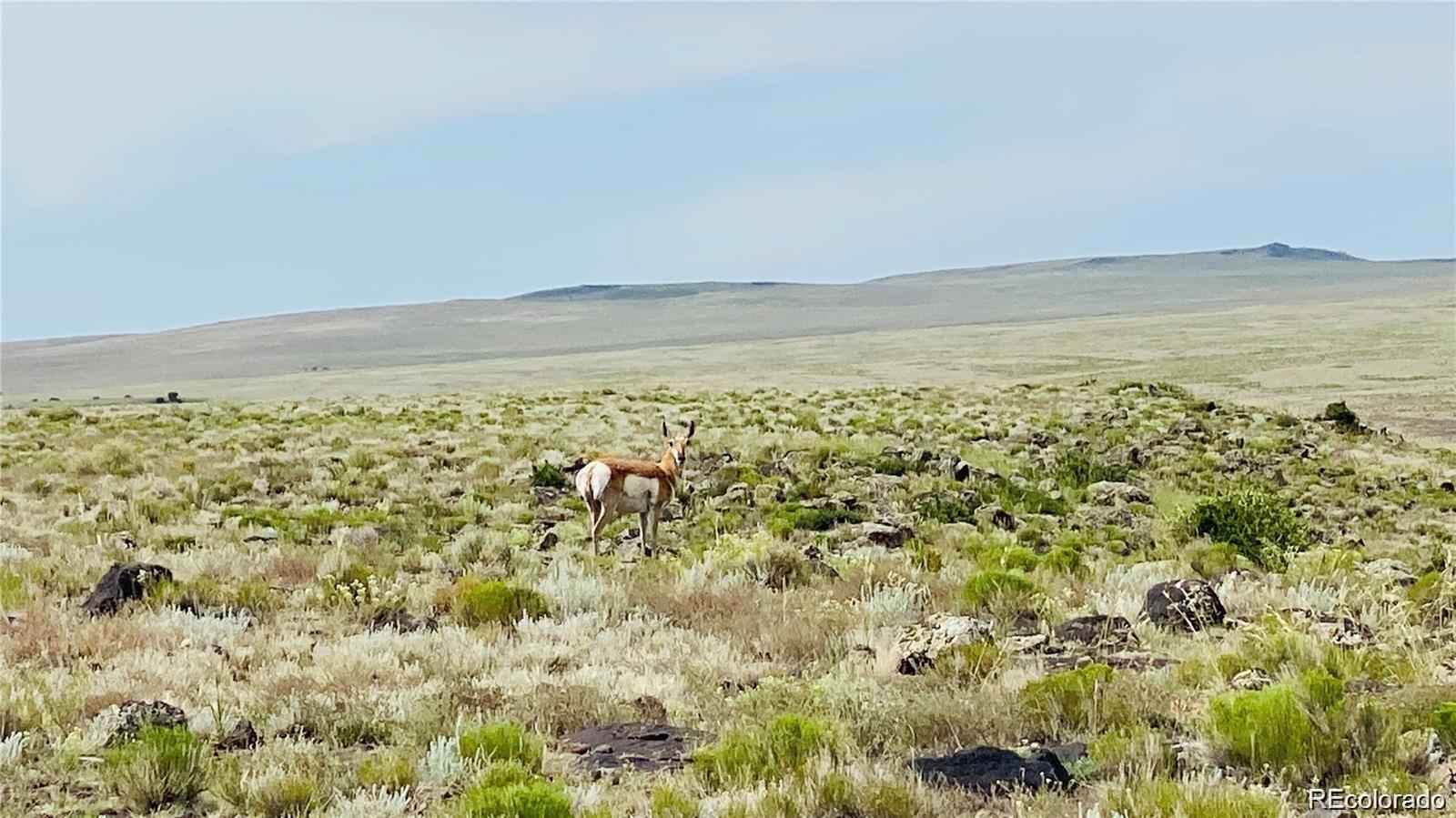 MLS Image #43 for lot 4  canyon road ,la jara, Colorado