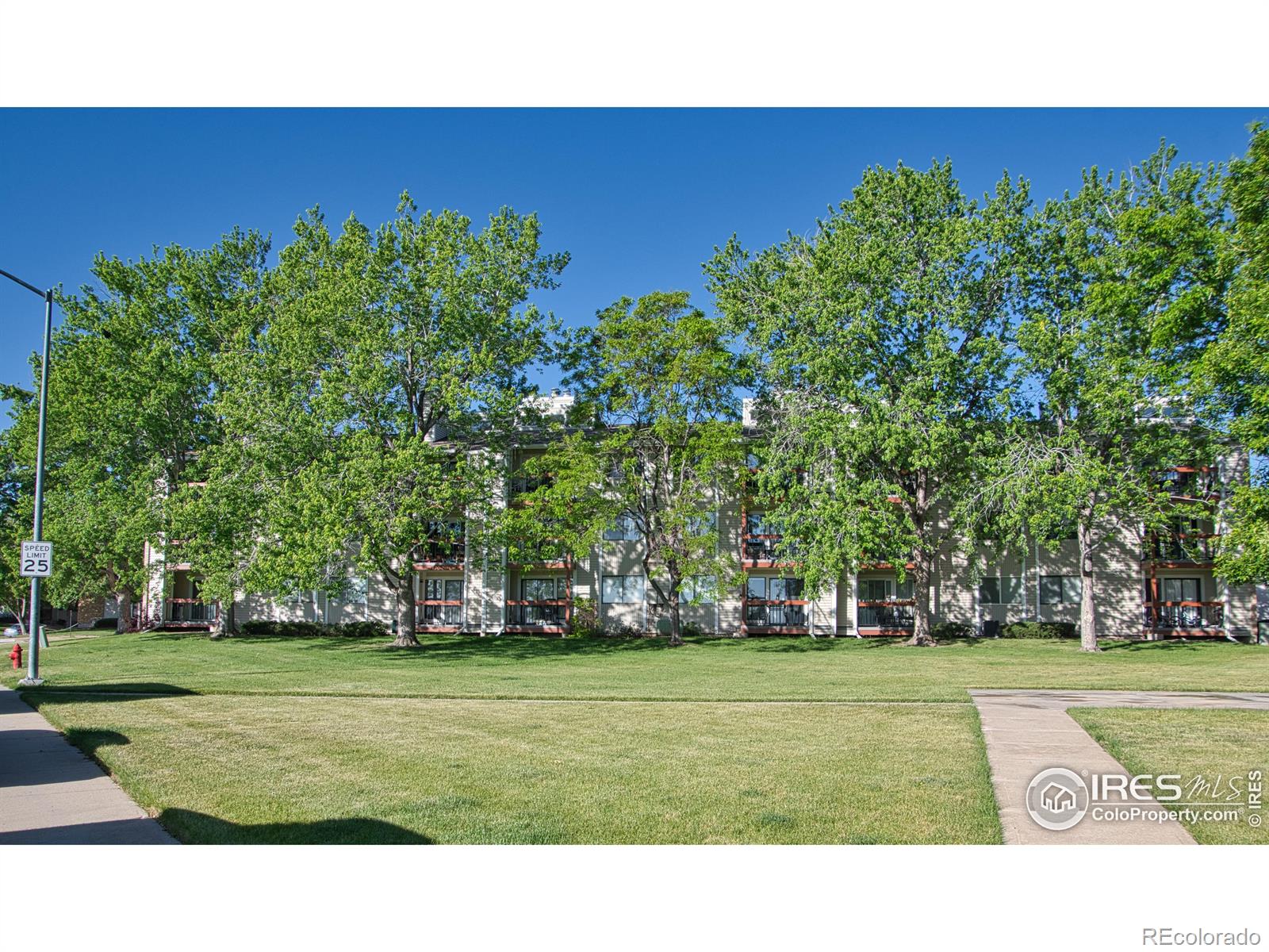 MLS Image #22 for 8645  clay street,westminster, Colorado
