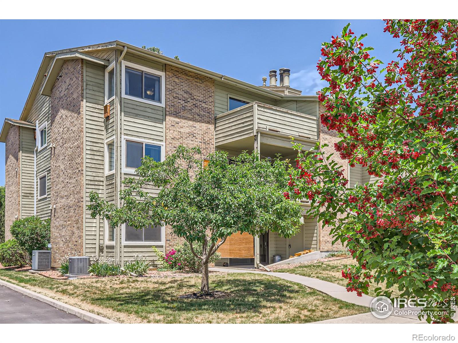 MLS Image #29 for 50  19th avenue,longmont, Colorado