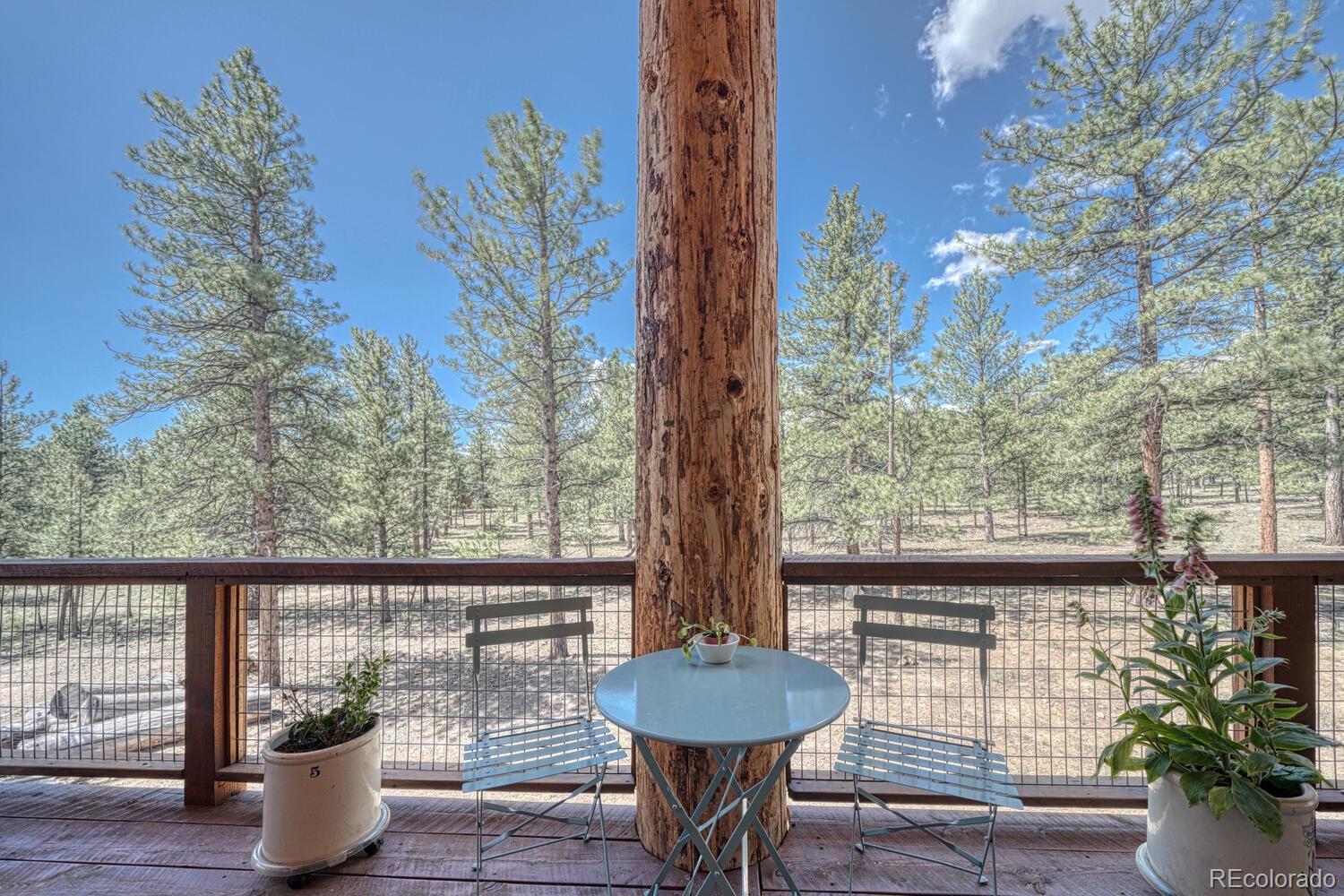 MLS Image #36 for 31255  northwoods circle,buena vista, Colorado