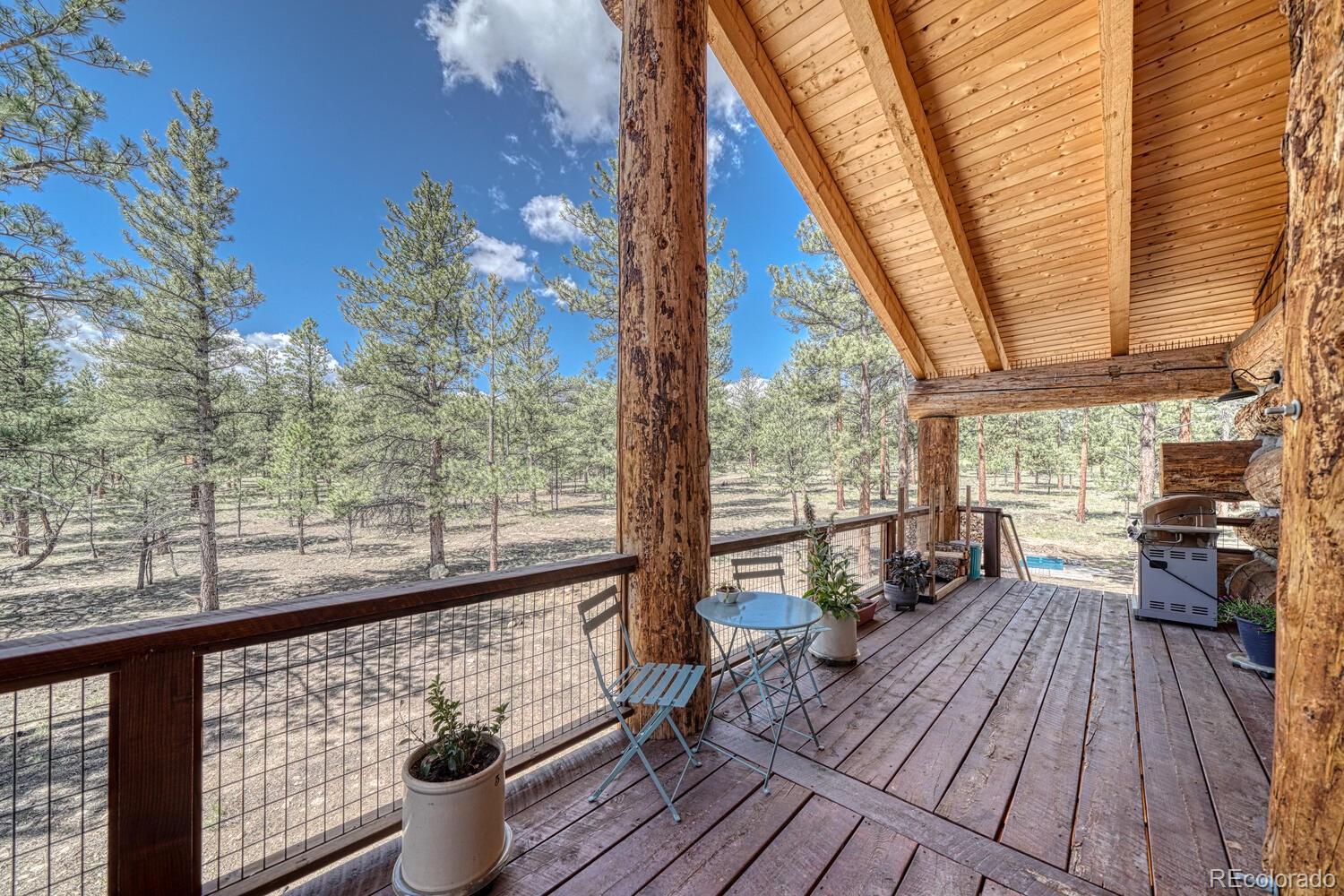 MLS Image #4 for 31255  northwoods circle,buena vista, Colorado