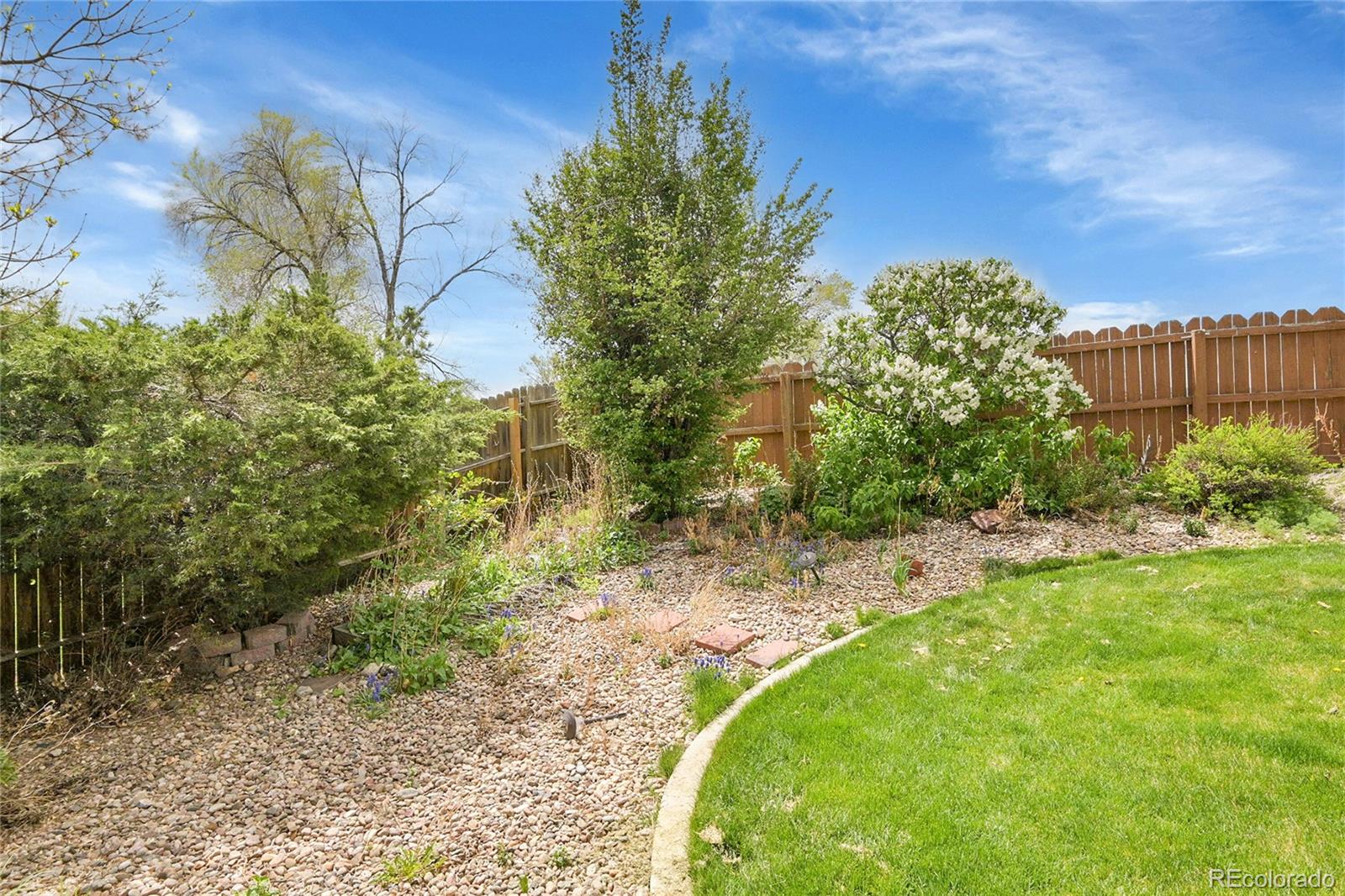MLS Image #38 for 6379  holman court,arvada, Colorado