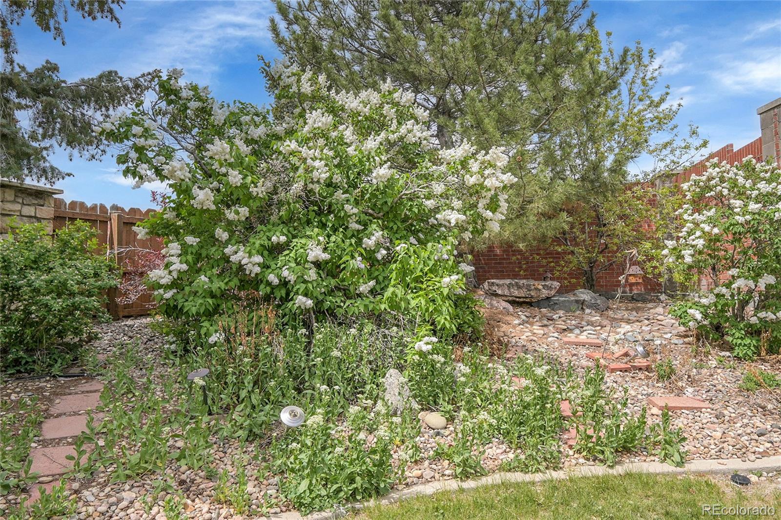 MLS Image #40 for 6379  holman court,arvada, Colorado