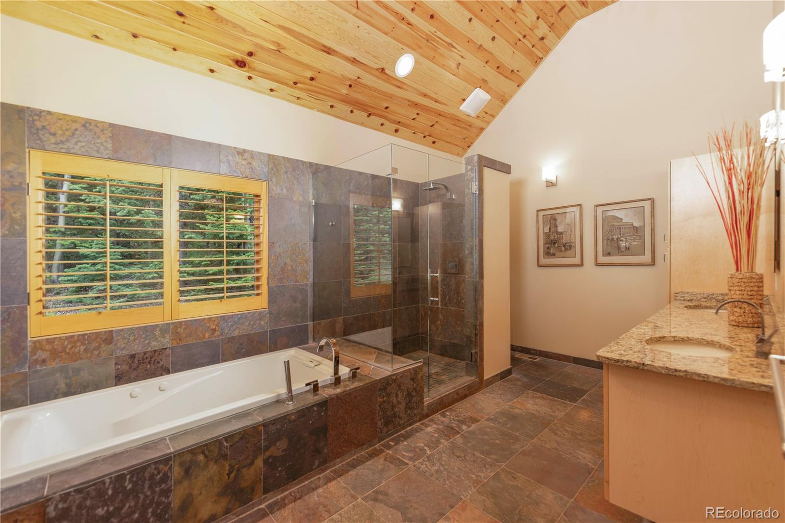 MLS Image #17 for 2065  currant way,silverthorne, Colorado