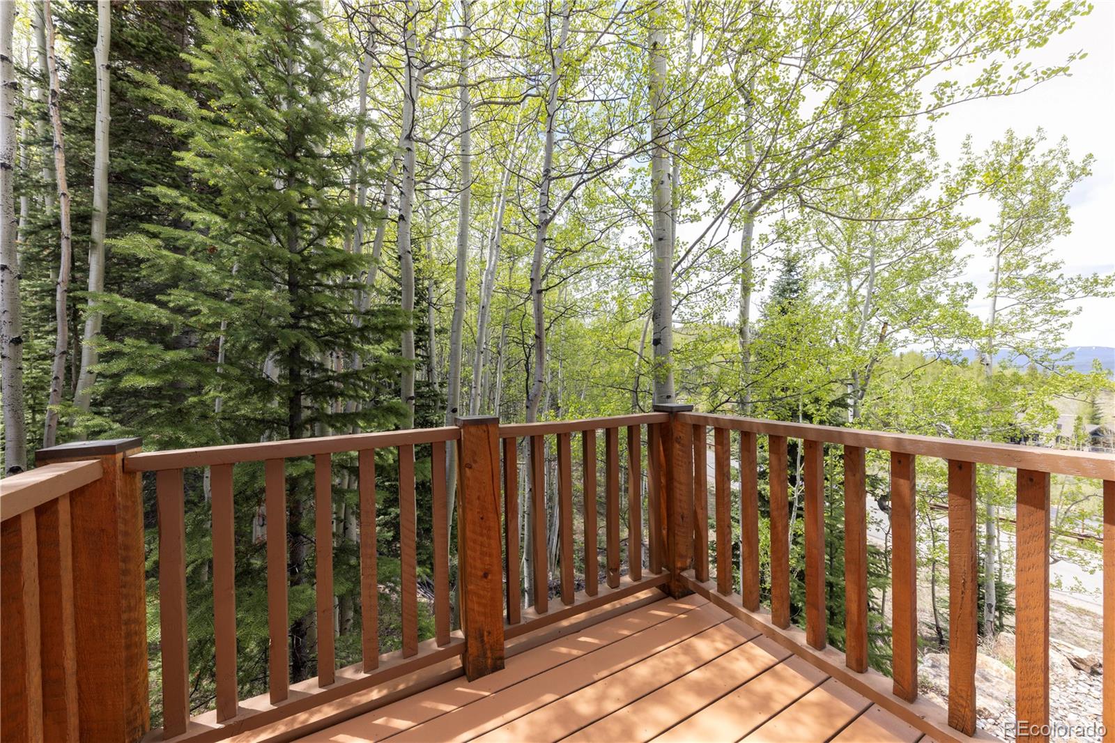 MLS Image #21 for 2065  currant way,silverthorne, Colorado