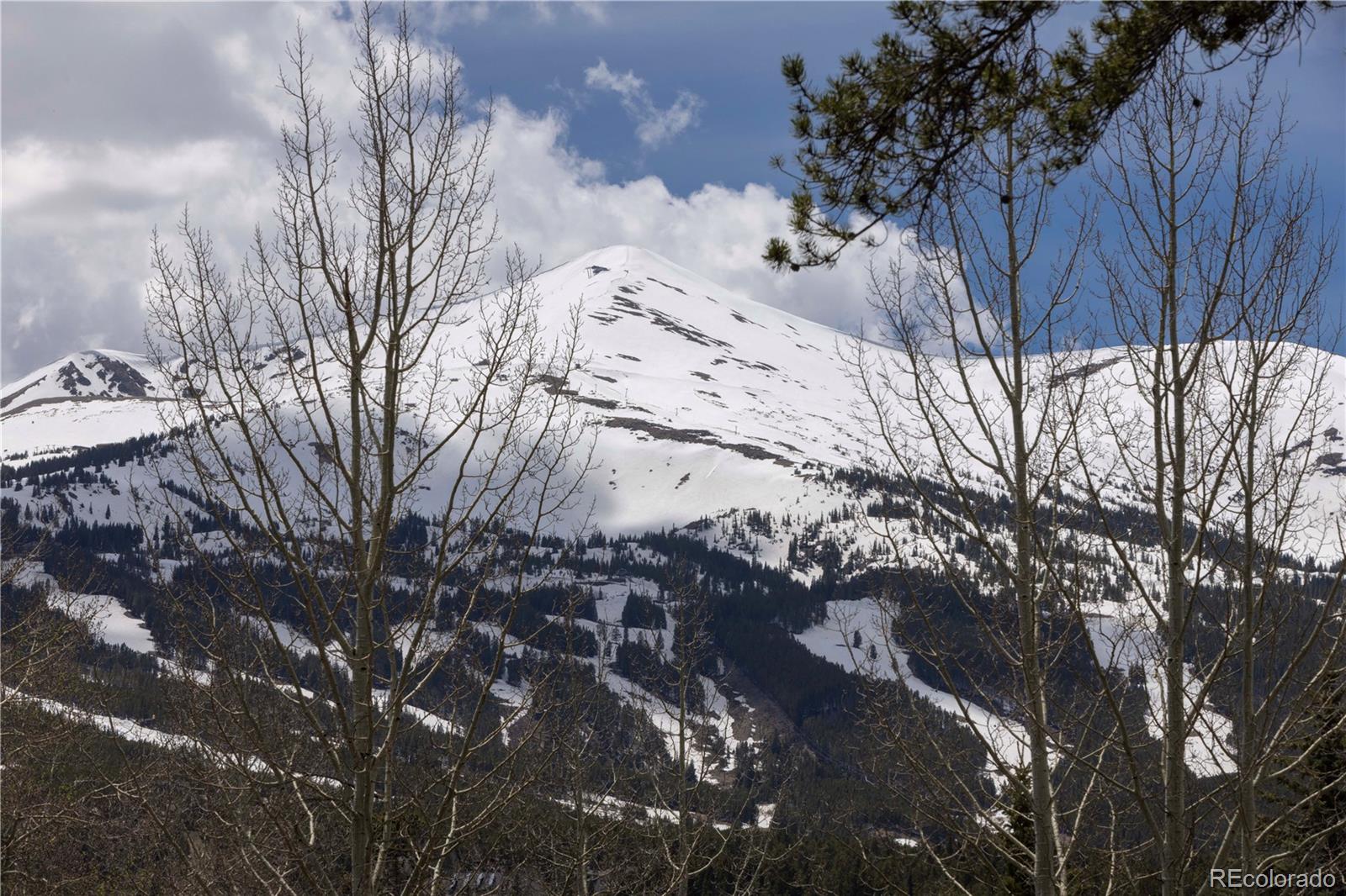 MLS Image #15 for 102 s high street,breckenridge, Colorado