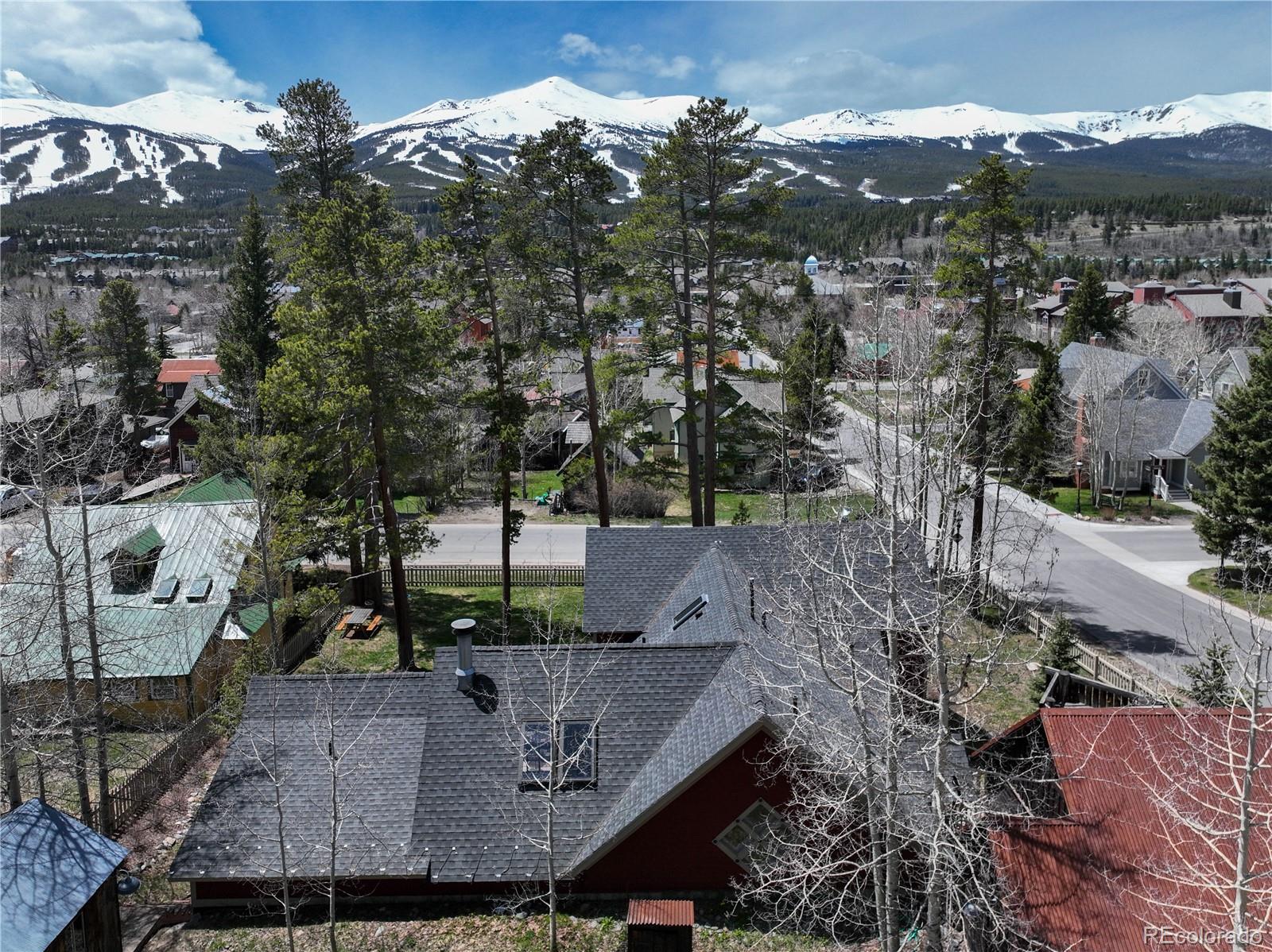 MLS Image #33 for 102 s high street,breckenridge, Colorado