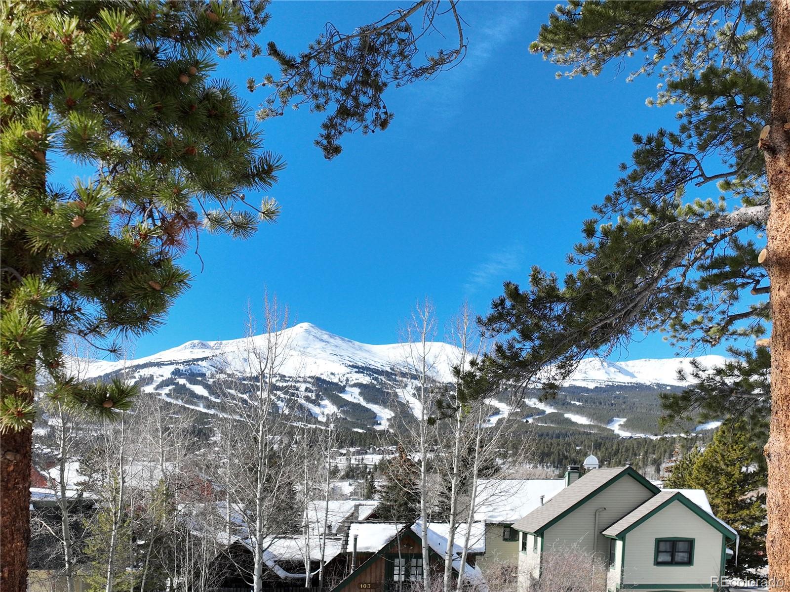 MLS Image #42 for 102 s high street,breckenridge, Colorado