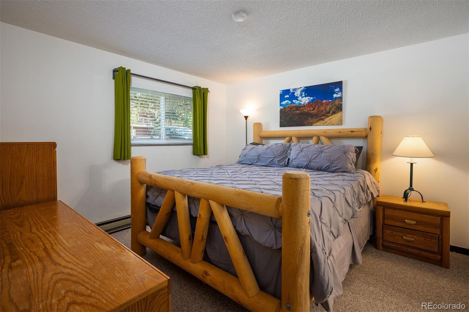 MLS Image #12 for 80  gcr 838 ,fraser, Colorado