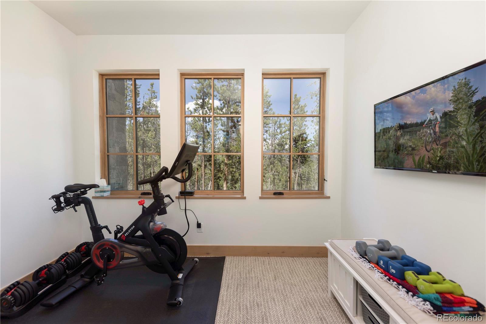 MLS Image #29 for 1290  discovery hill drive,breckenridge, Colorado