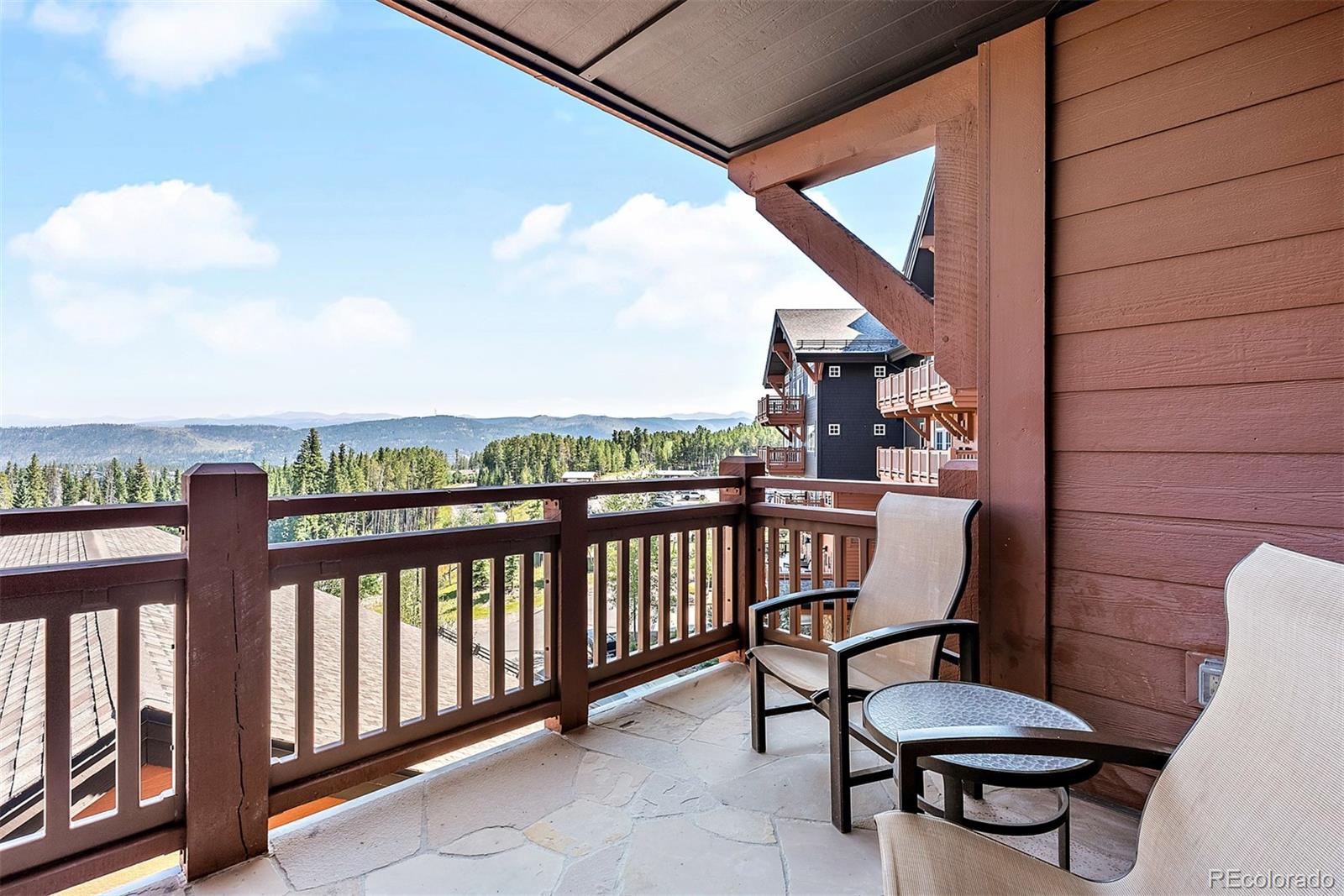 MLS Image #21 for 1521  ski hill road,breckenridge, Colorado