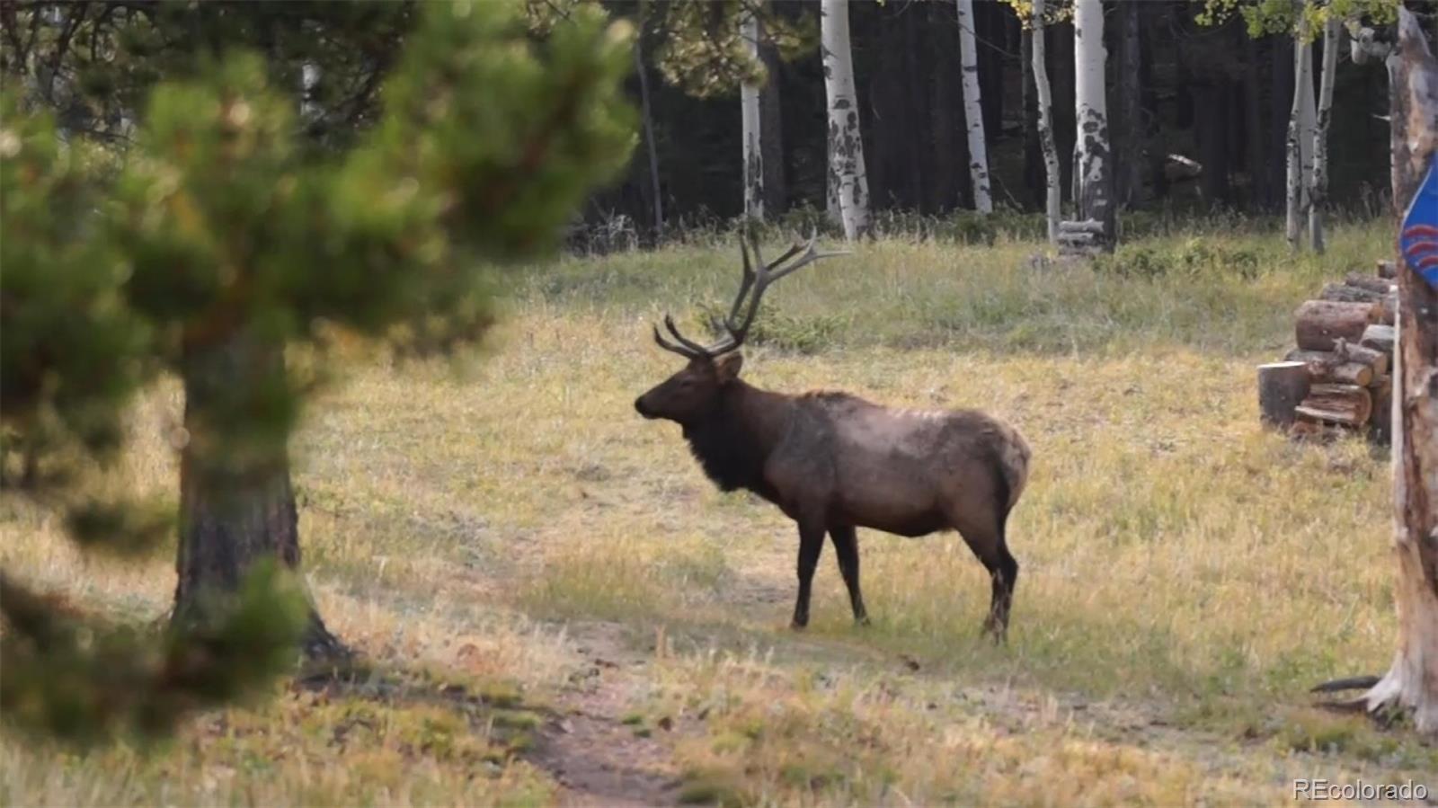 MLS Image #21 for 14874  hwy 119 road,black hawk, Colorado