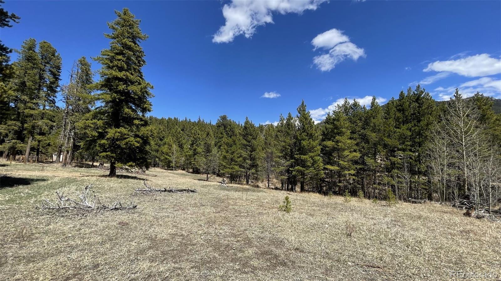 MLS Image #31 for 14874  hwy 119 road,black hawk, Colorado