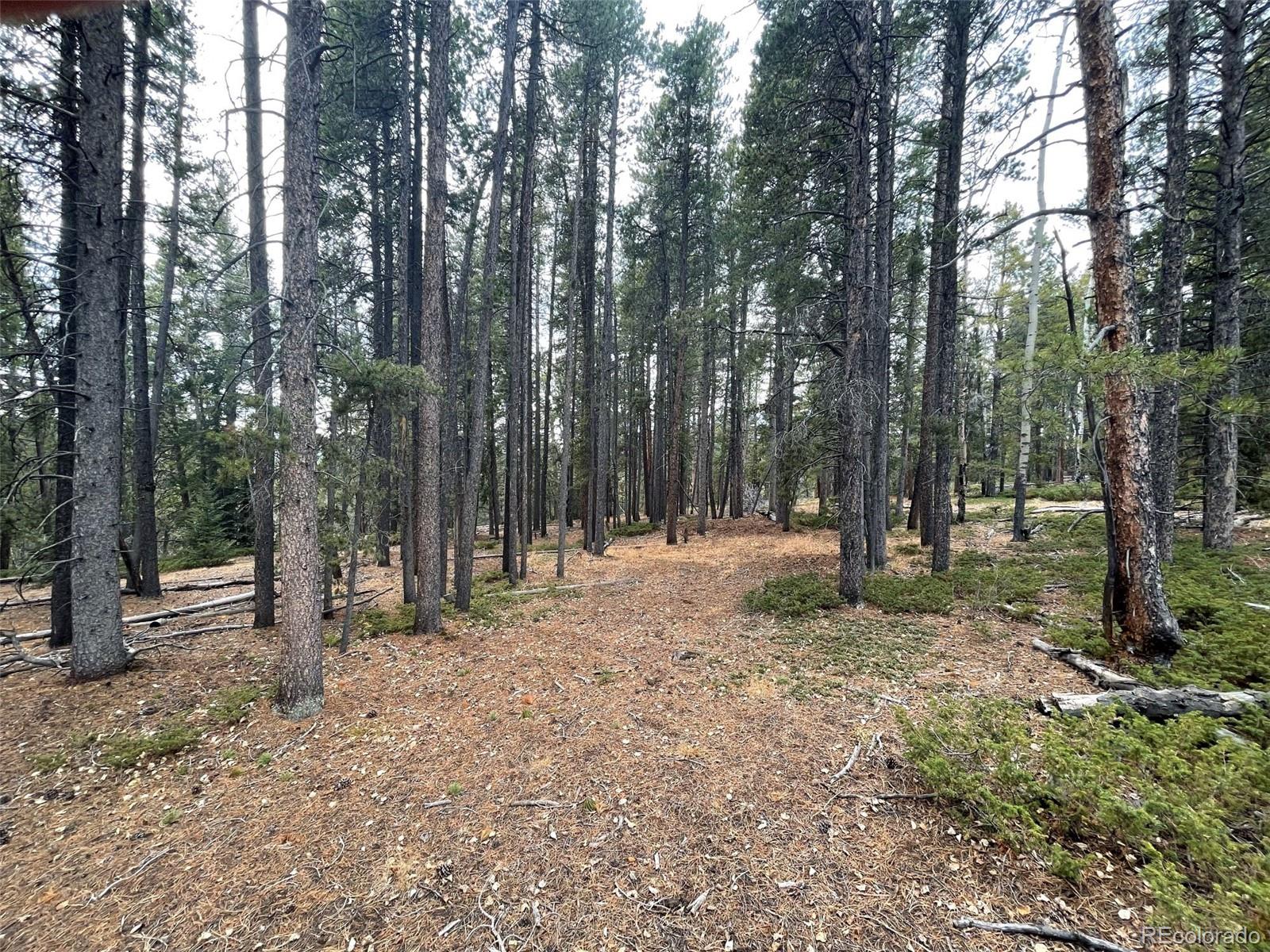 MLS Image #37 for 14874  hwy 119 road,black hawk, Colorado