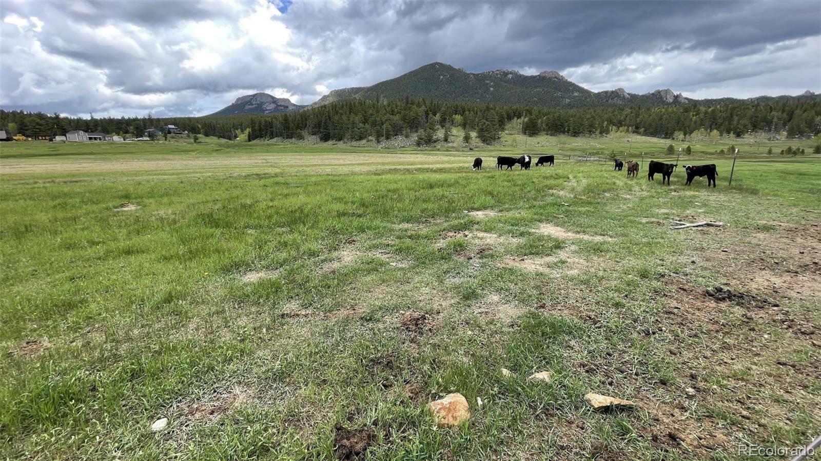 MLS Image #9 for 14874  hwy 119 road,black hawk, Colorado