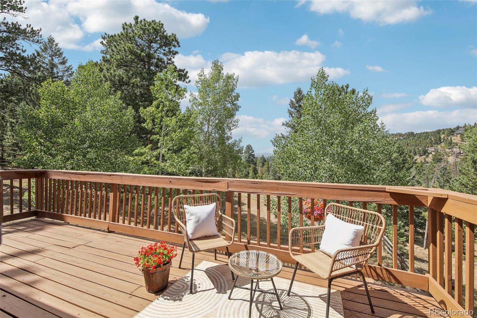 MLS Image #38 for 6425  kenya drive,evergreen, Colorado