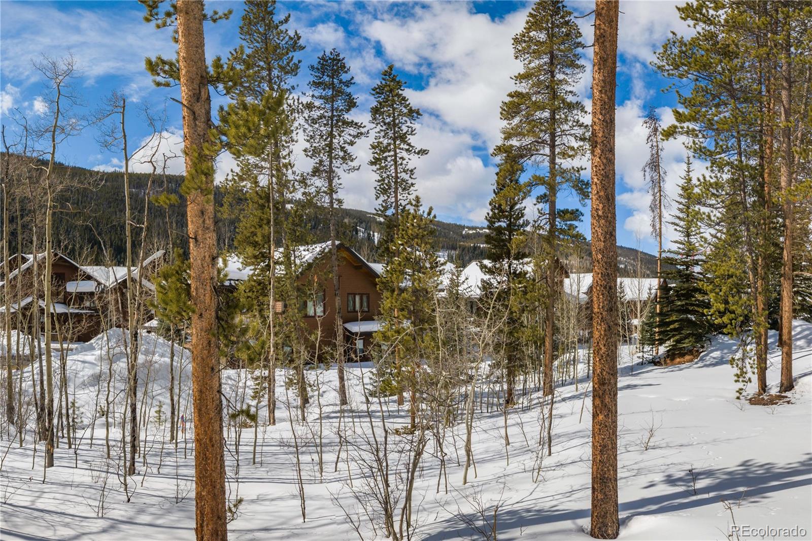 MLS Image #9 for 624  montezuma road,keystone, Colorado