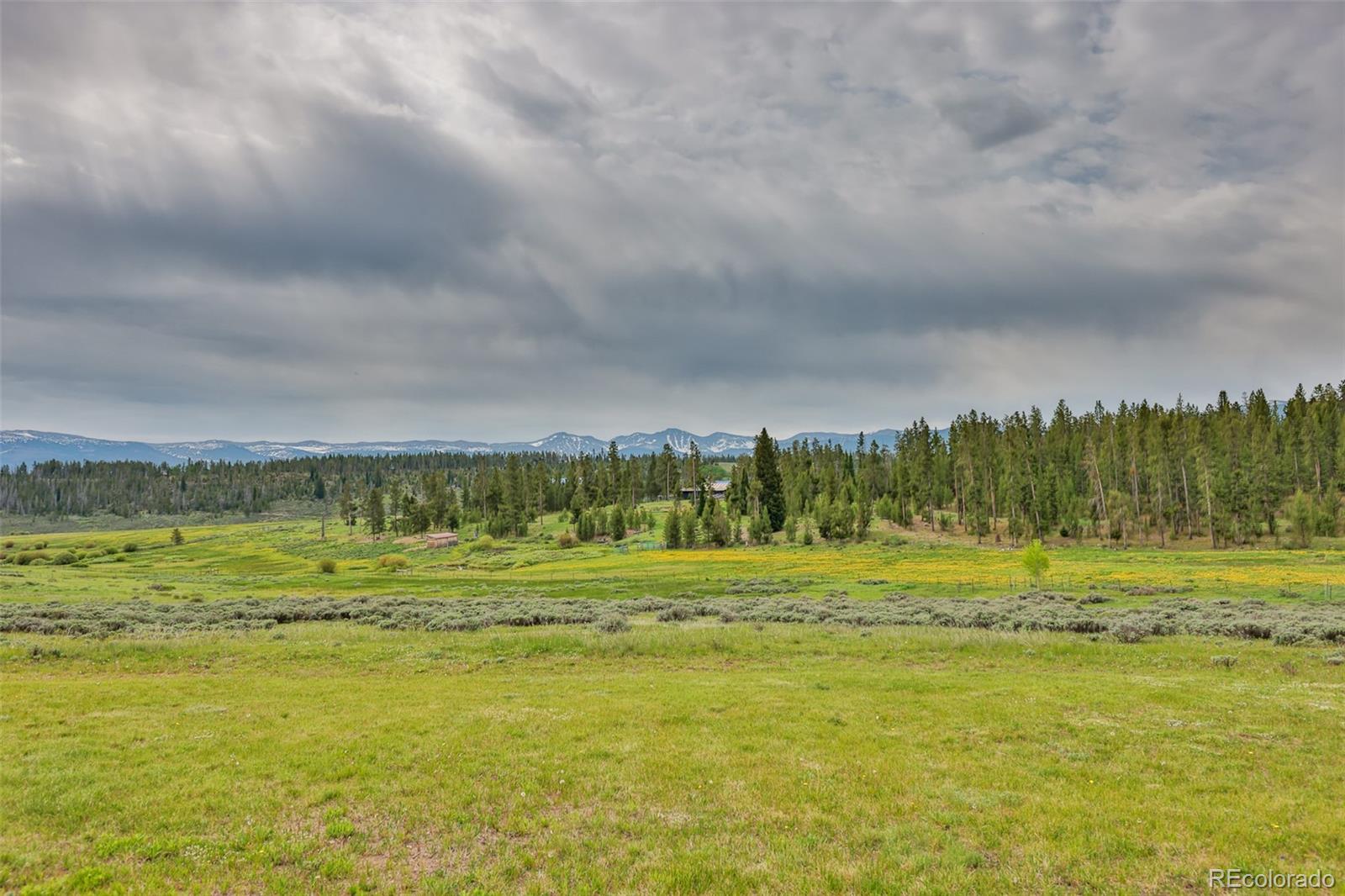 MLS Image #10 for 738  gcr 519 ,fraser, Colorado