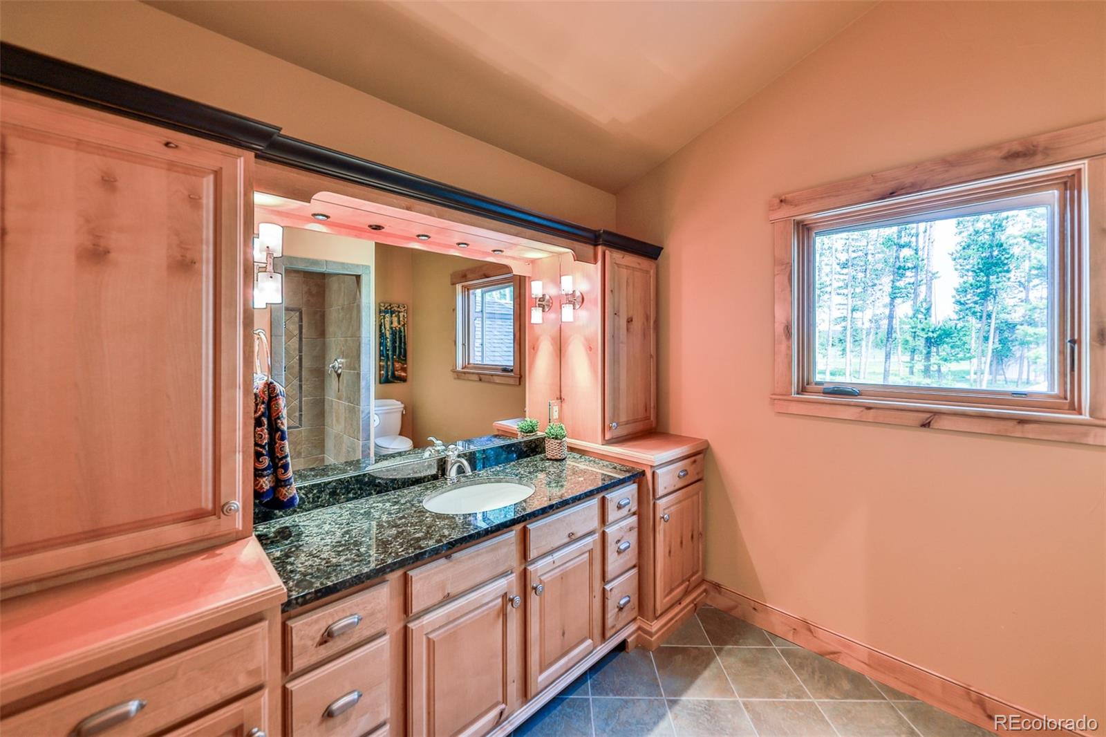 MLS Image #30 for 738  gcr 519 ,fraser, Colorado