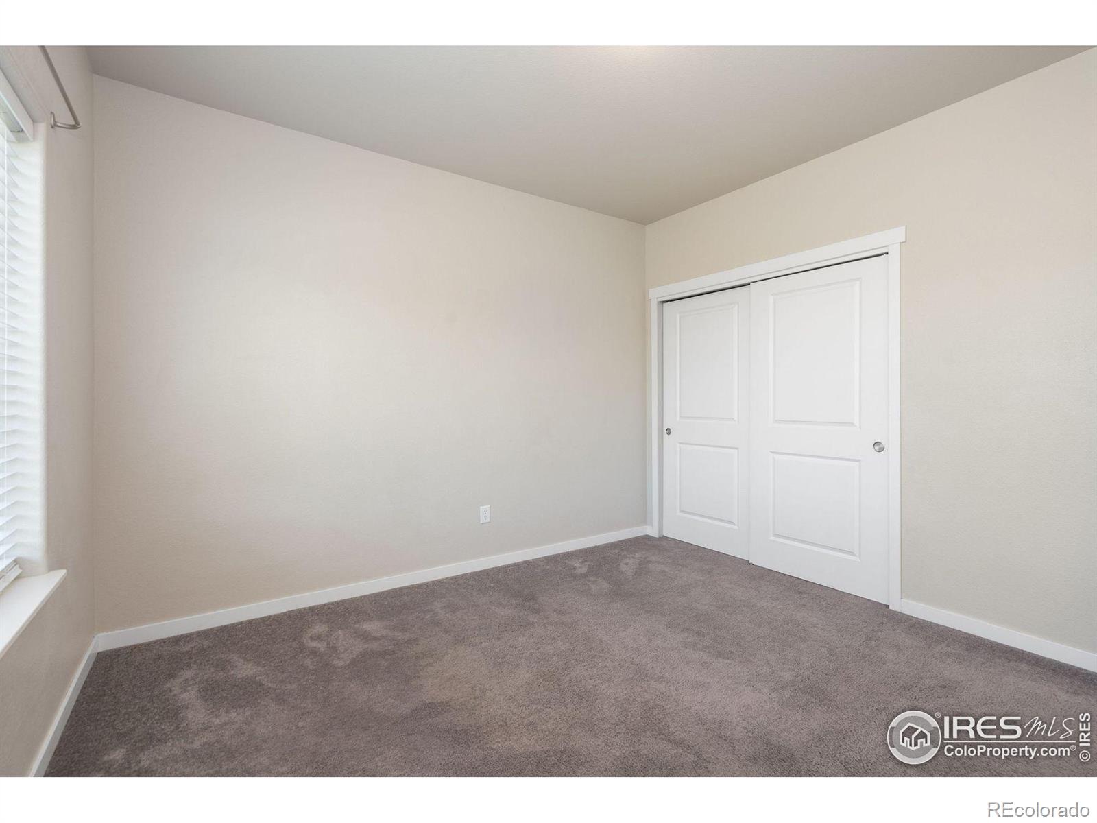 MLS Image #22 for 3805  adine court,loveland, Colorado