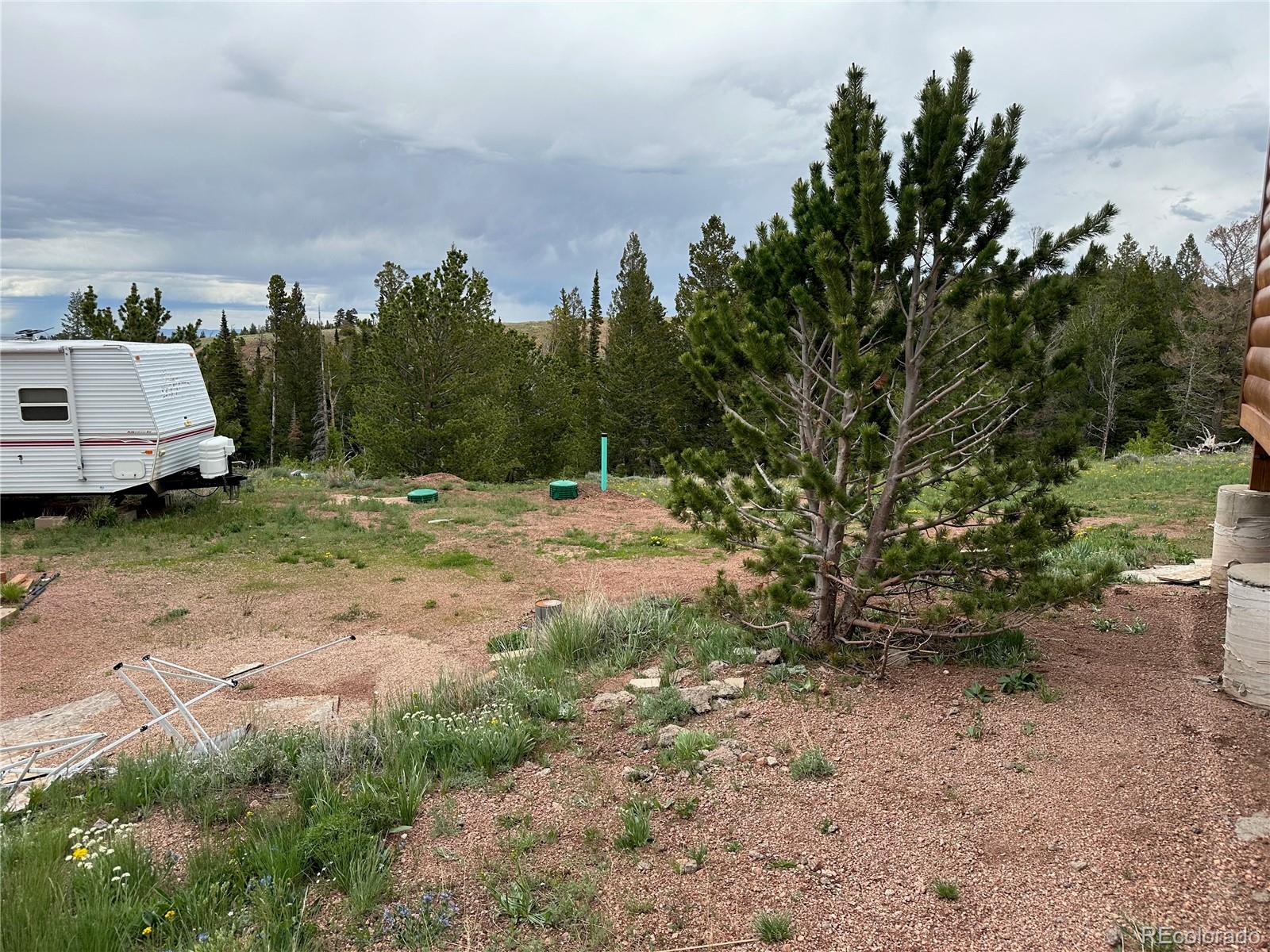 MLS Image #15 for 432  forest way,red feather lakes, Colorado